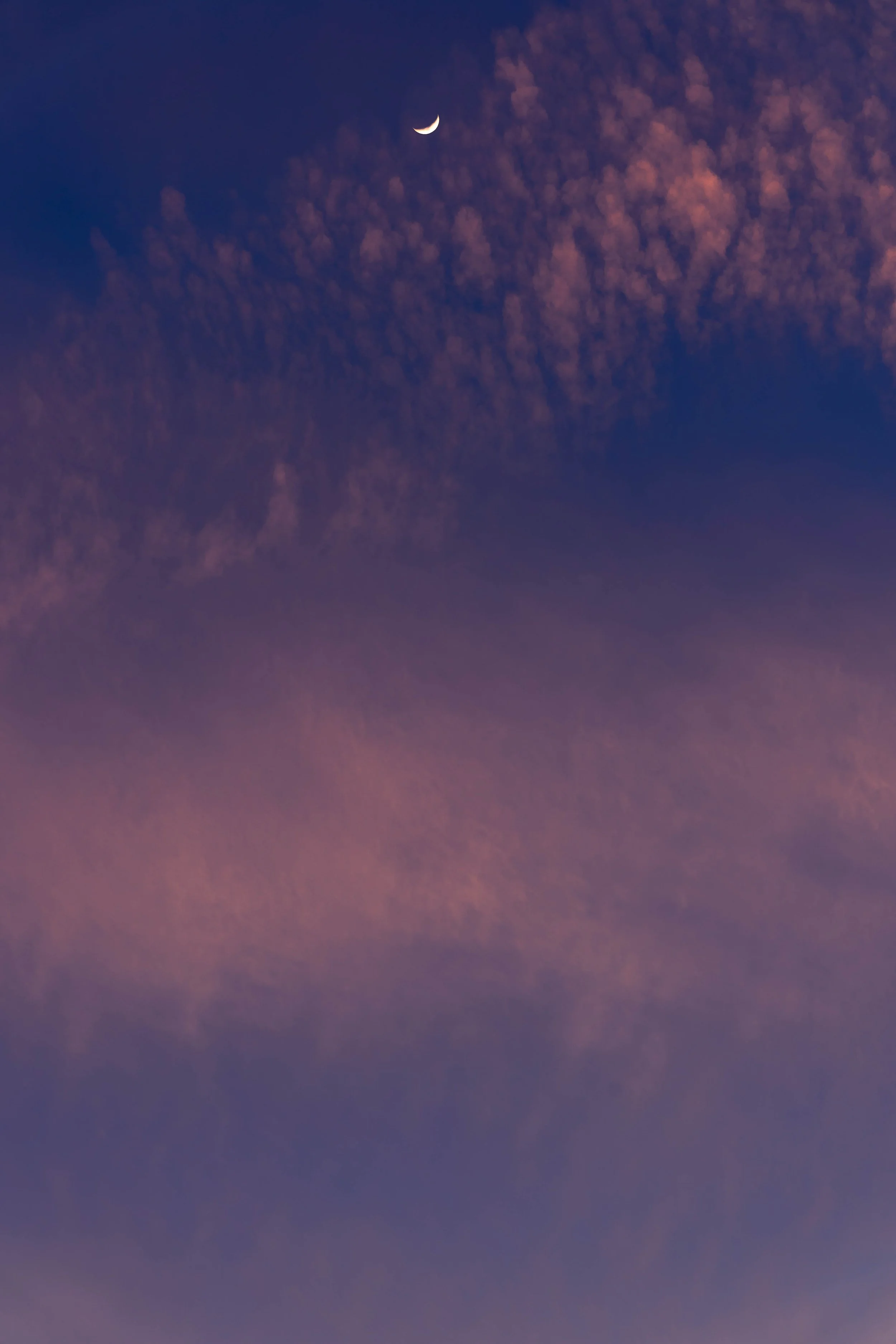 Huntington Beach, CA; February 2021