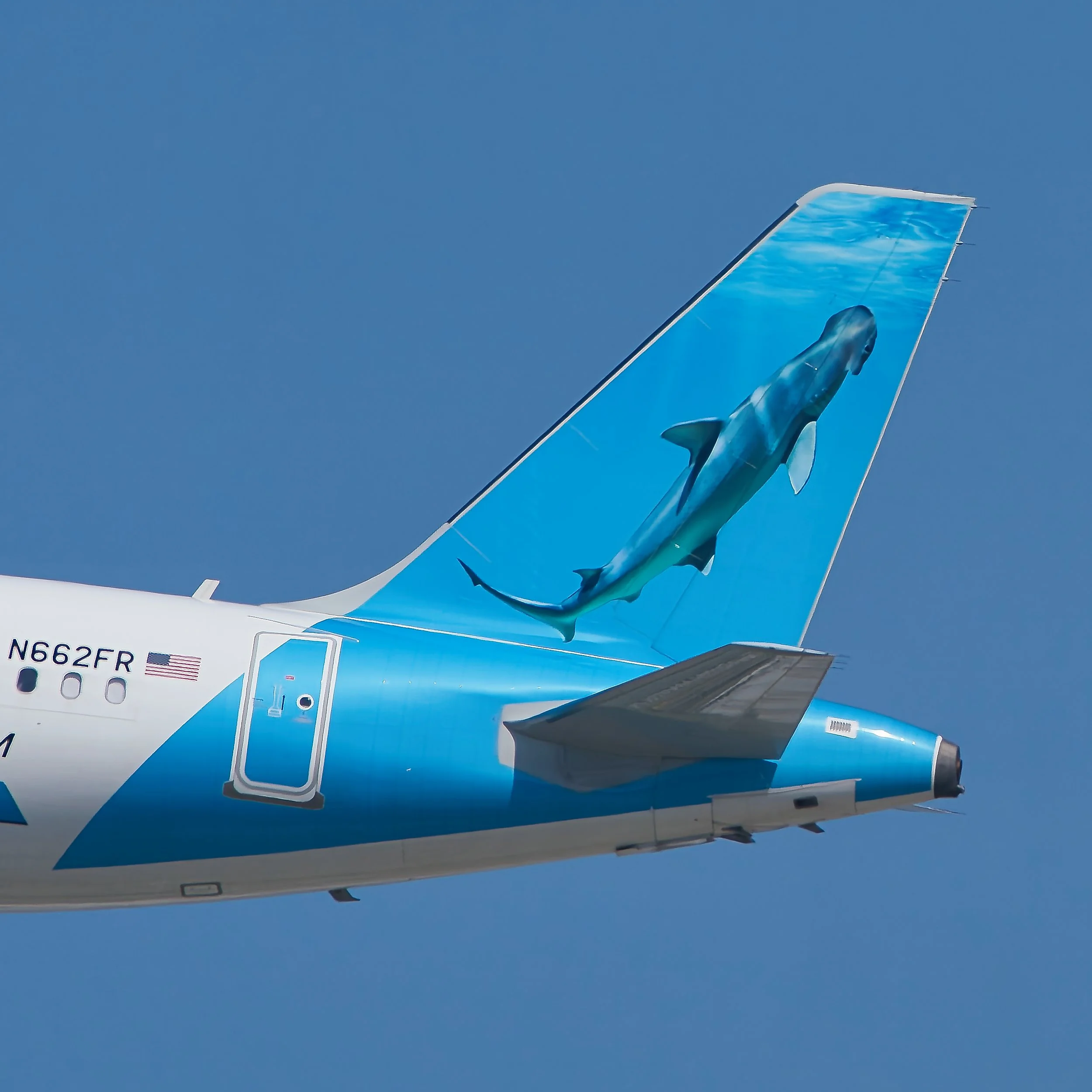 Frontier Airlines Airbus A321neo "Martillo the Bonnethead Shark"