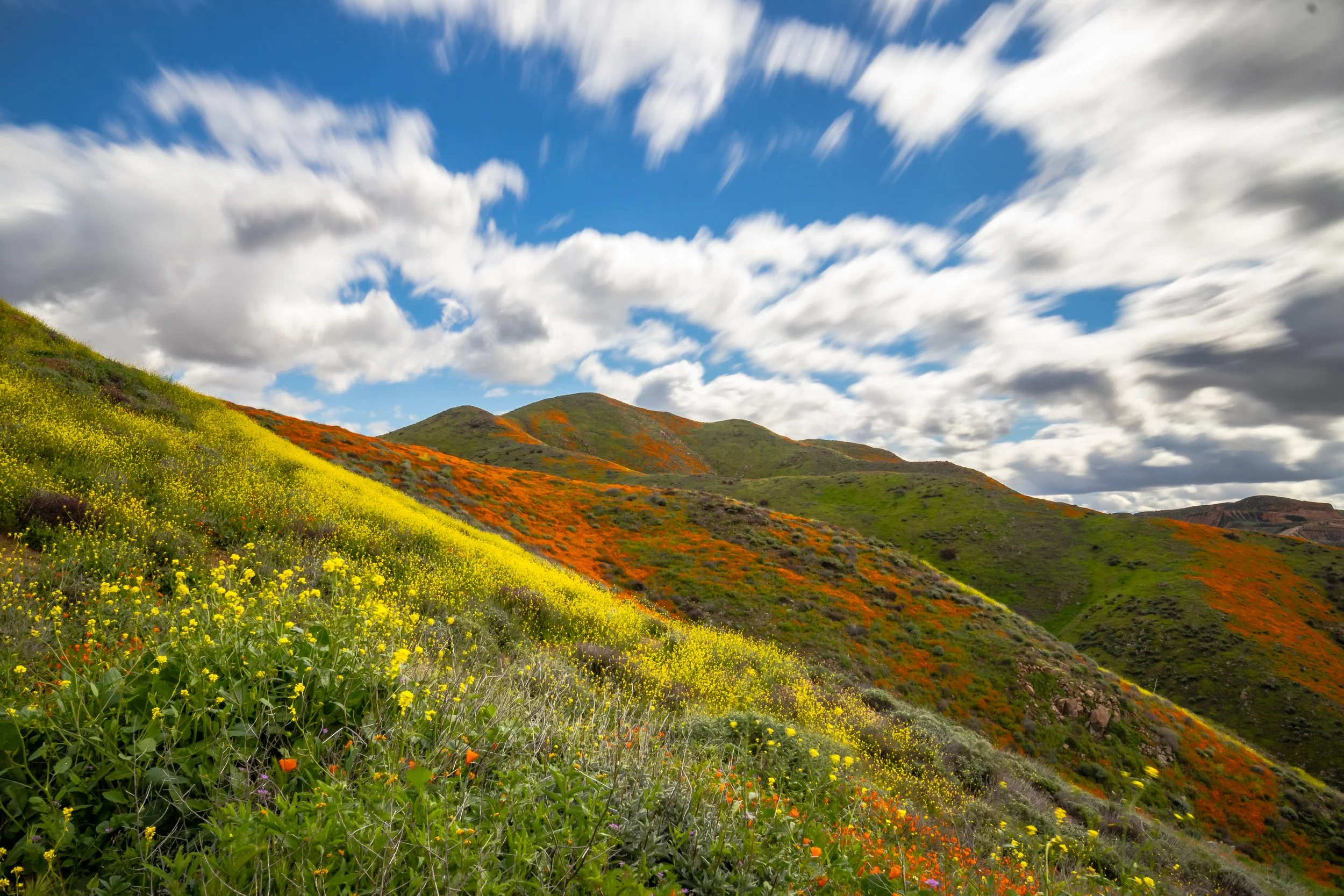 Lake Elsinore, CA; March 2019