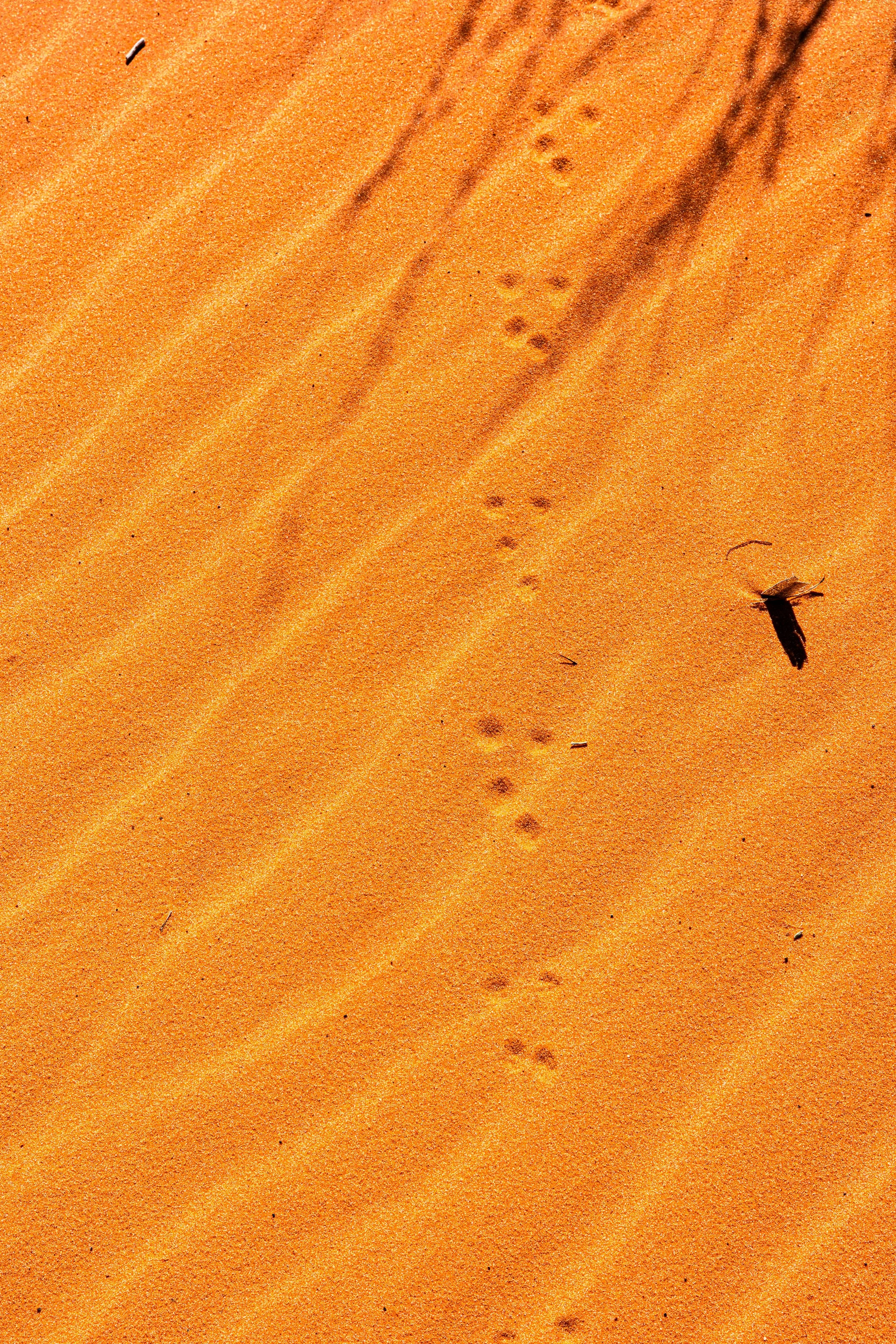 Kanab, UT; April 2024