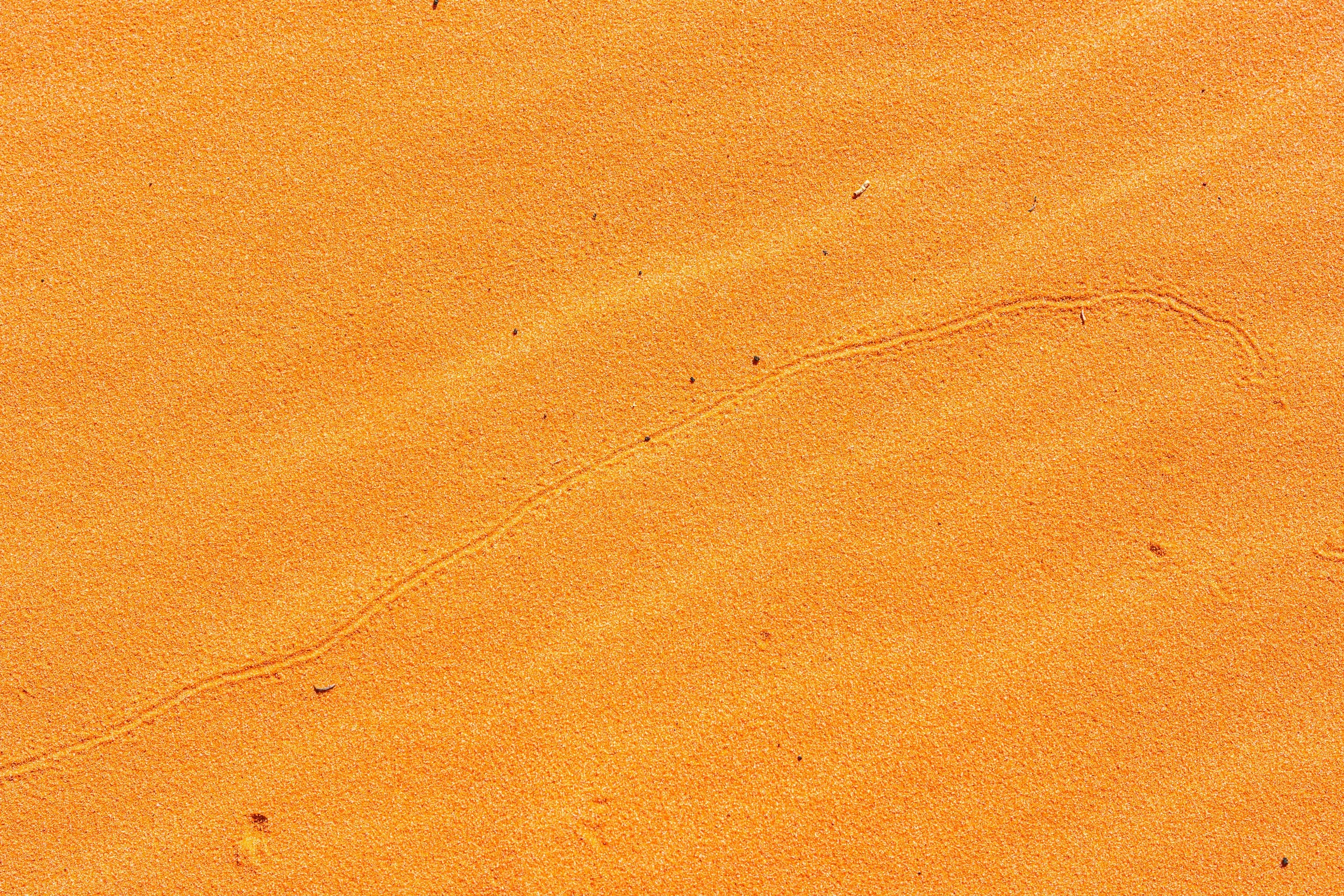 Kanab, UT; April 2024