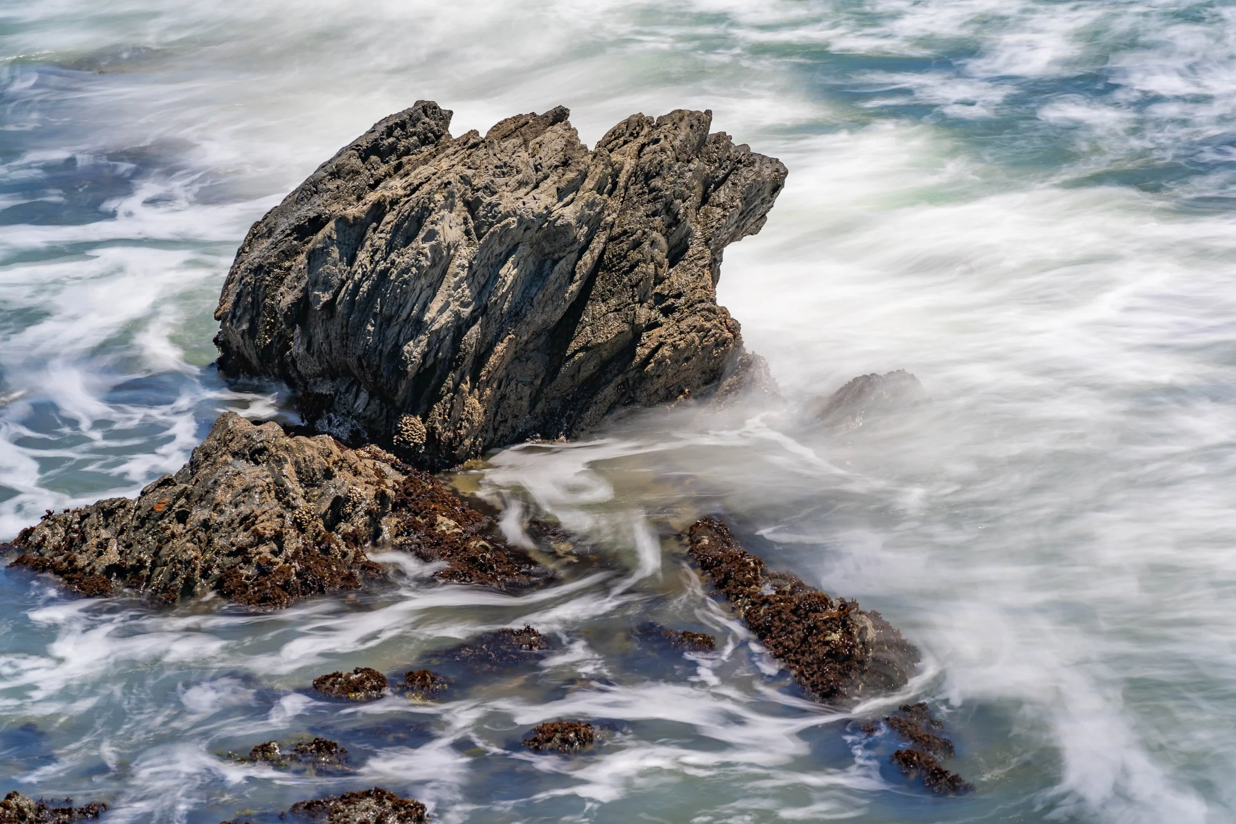 Pescadero, CA; June 2022