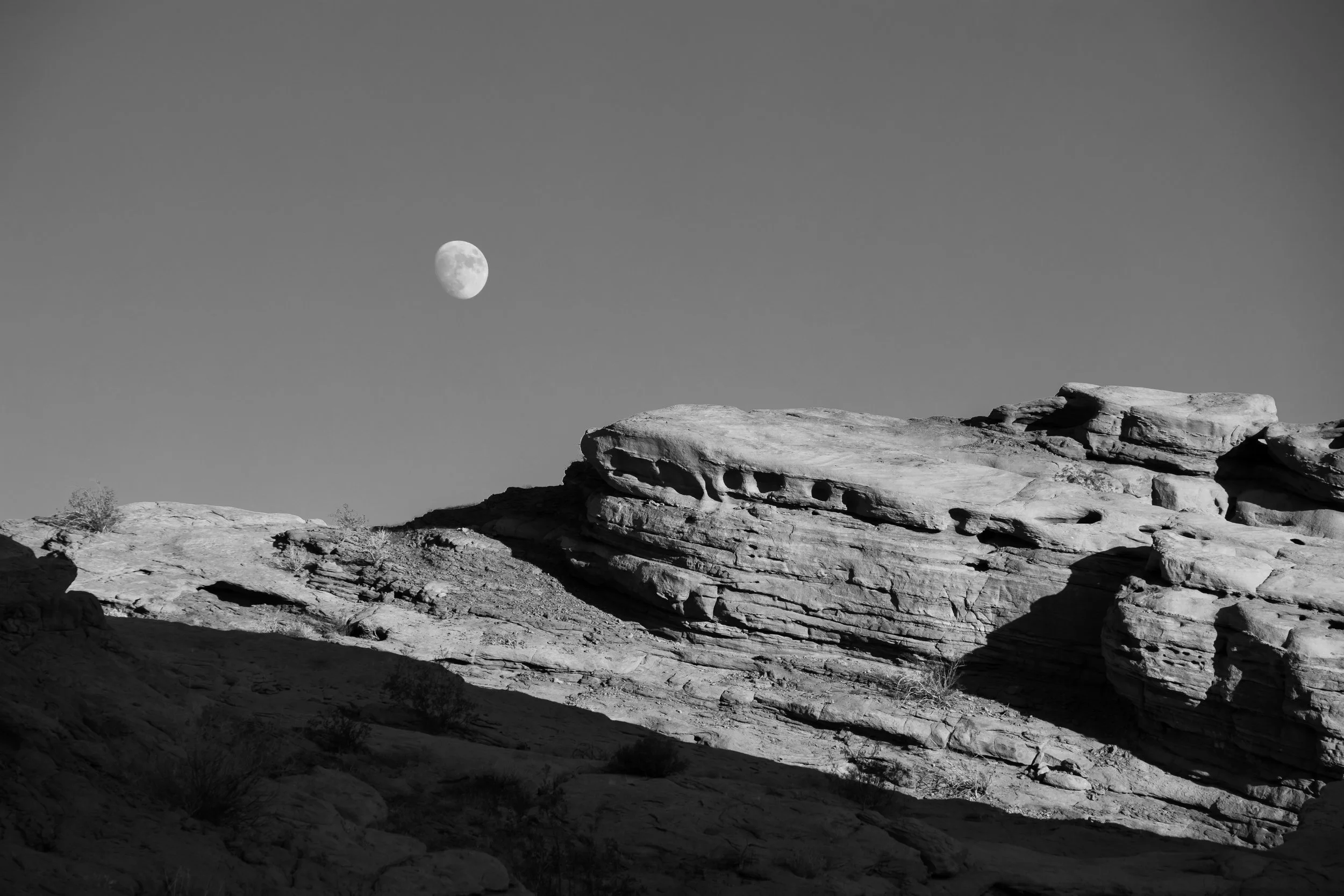 Anza-Borrego, CA; November 2019