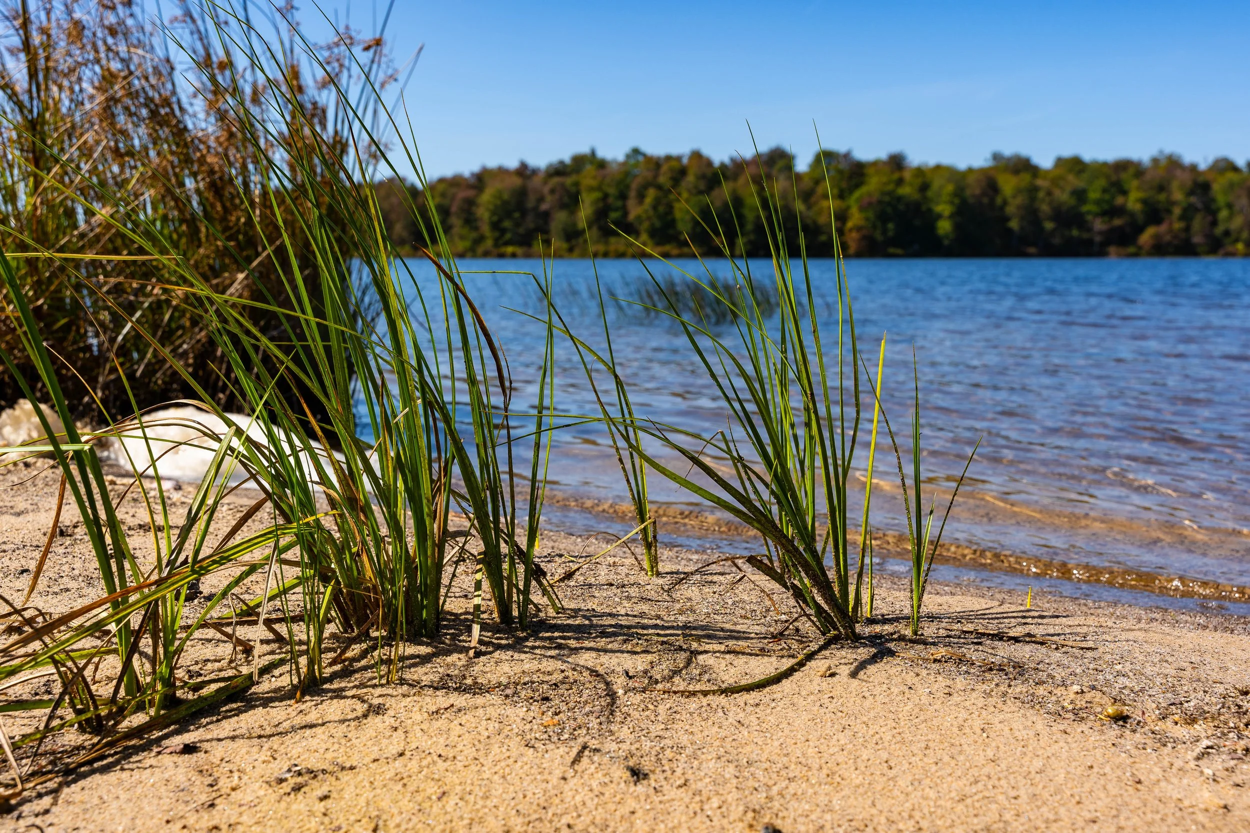 Ricketts Glen, PA; September 2023