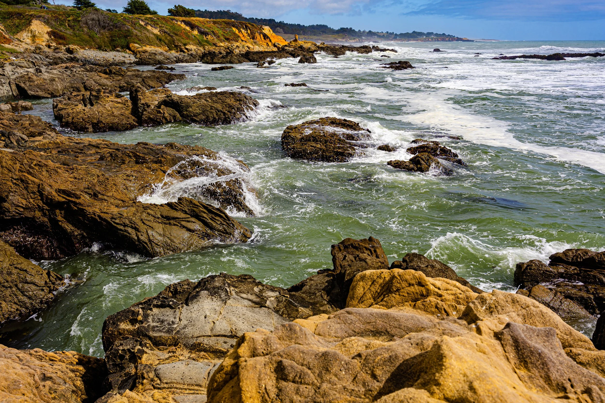 Pescadero, CA; June 2022
