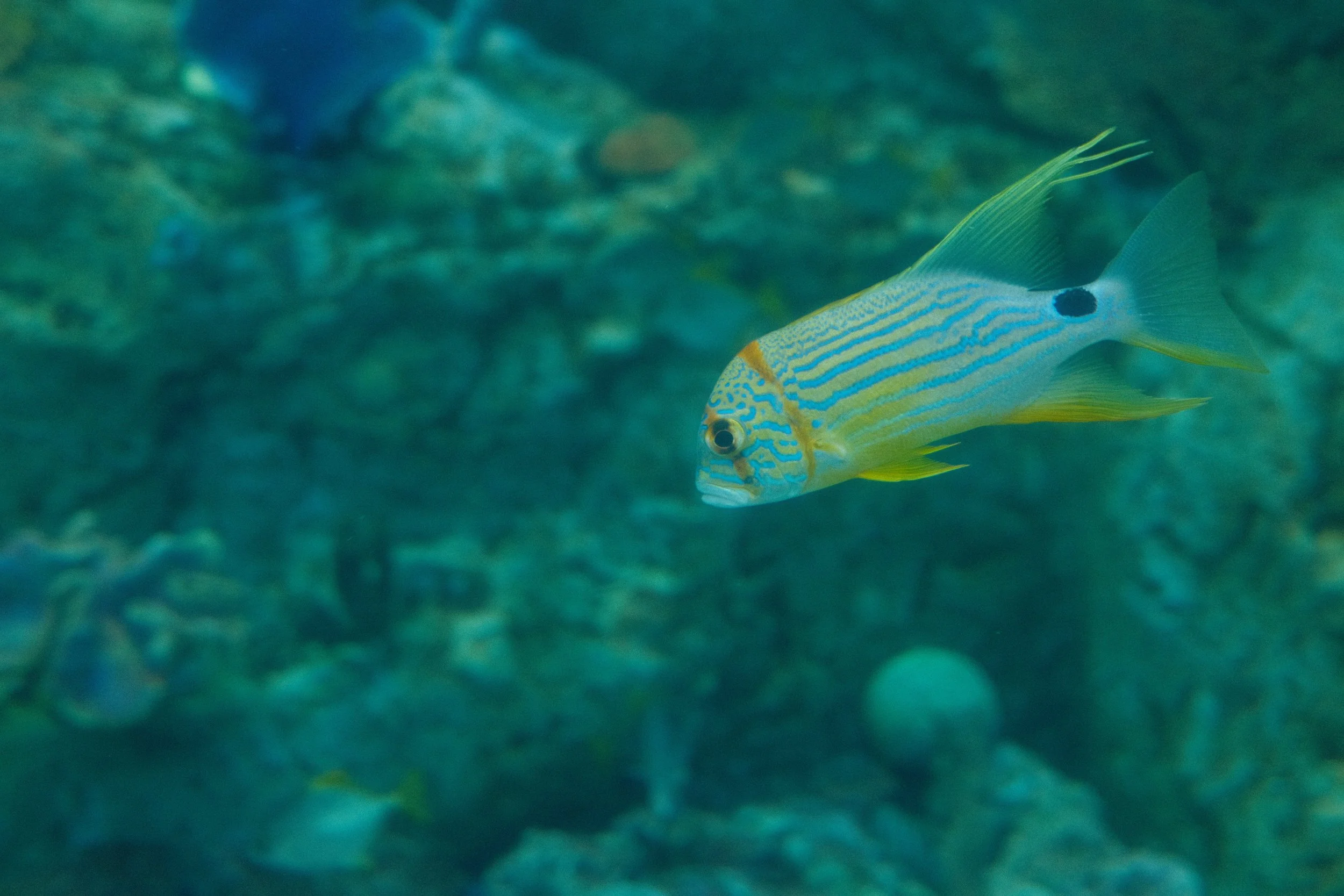 Long Beach, CA; December 2025