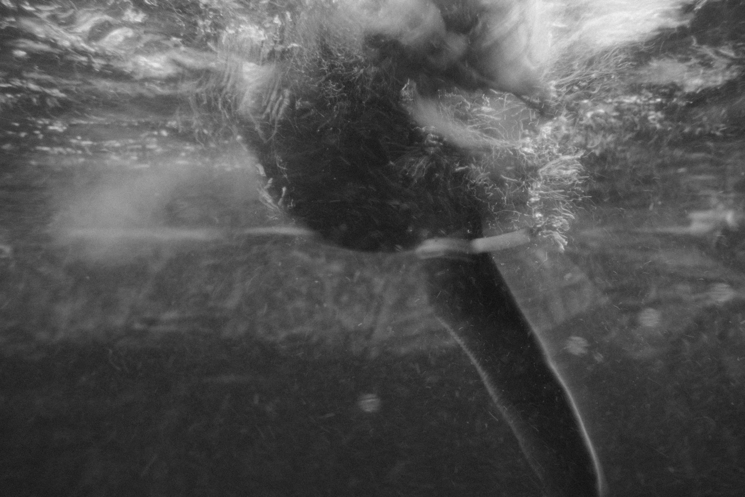 Long Beach, CA; November 2025