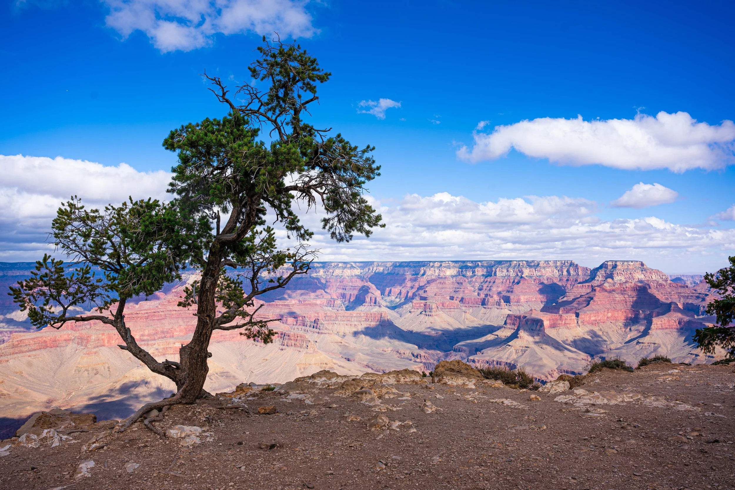 Grand Canyon, AZ; October 2024