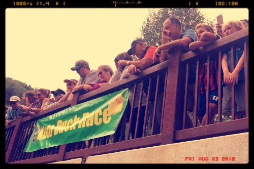 duckrace2.jpeg