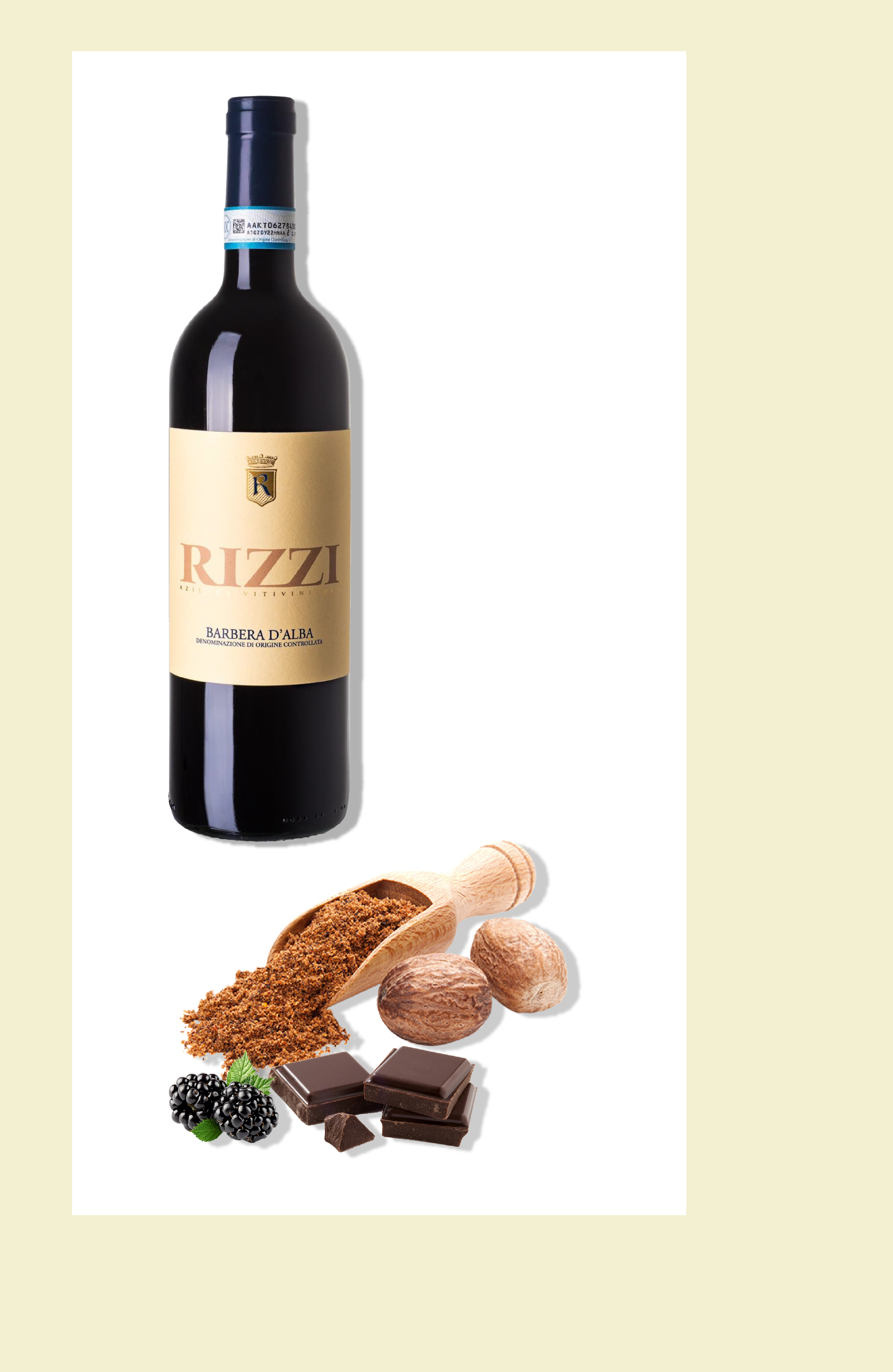 Vino Rizzi Barbera D alba Cantina Rizzi Treiso Piemonte Langhe Roero 