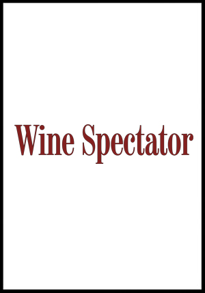 wine spectator vinous+2010+premio+cantina+rizzi.jpg