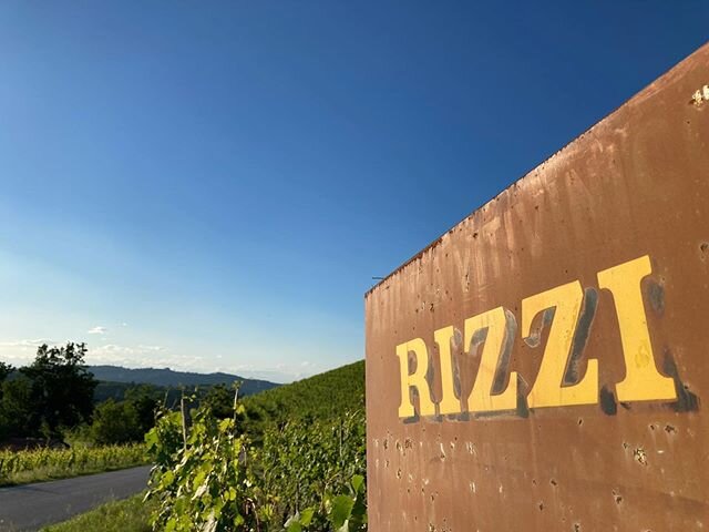 Real light!!! Rizzi cru vineyard Boito