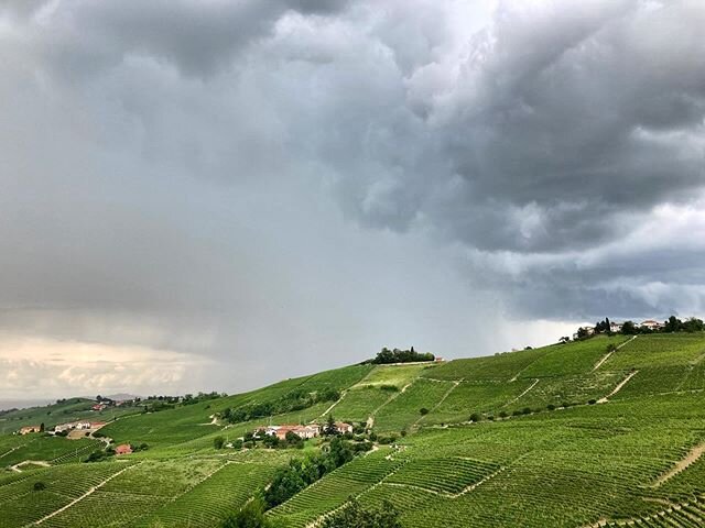 Rain Storm in direction Barbaresco and Neive... 🤞🤞🤞
#langhe # meteo #nature