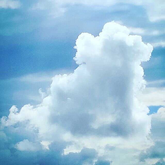 Cloud puppy! 
#storystarter #skylove #dreamdiary #teachingwriting #insidelookingout