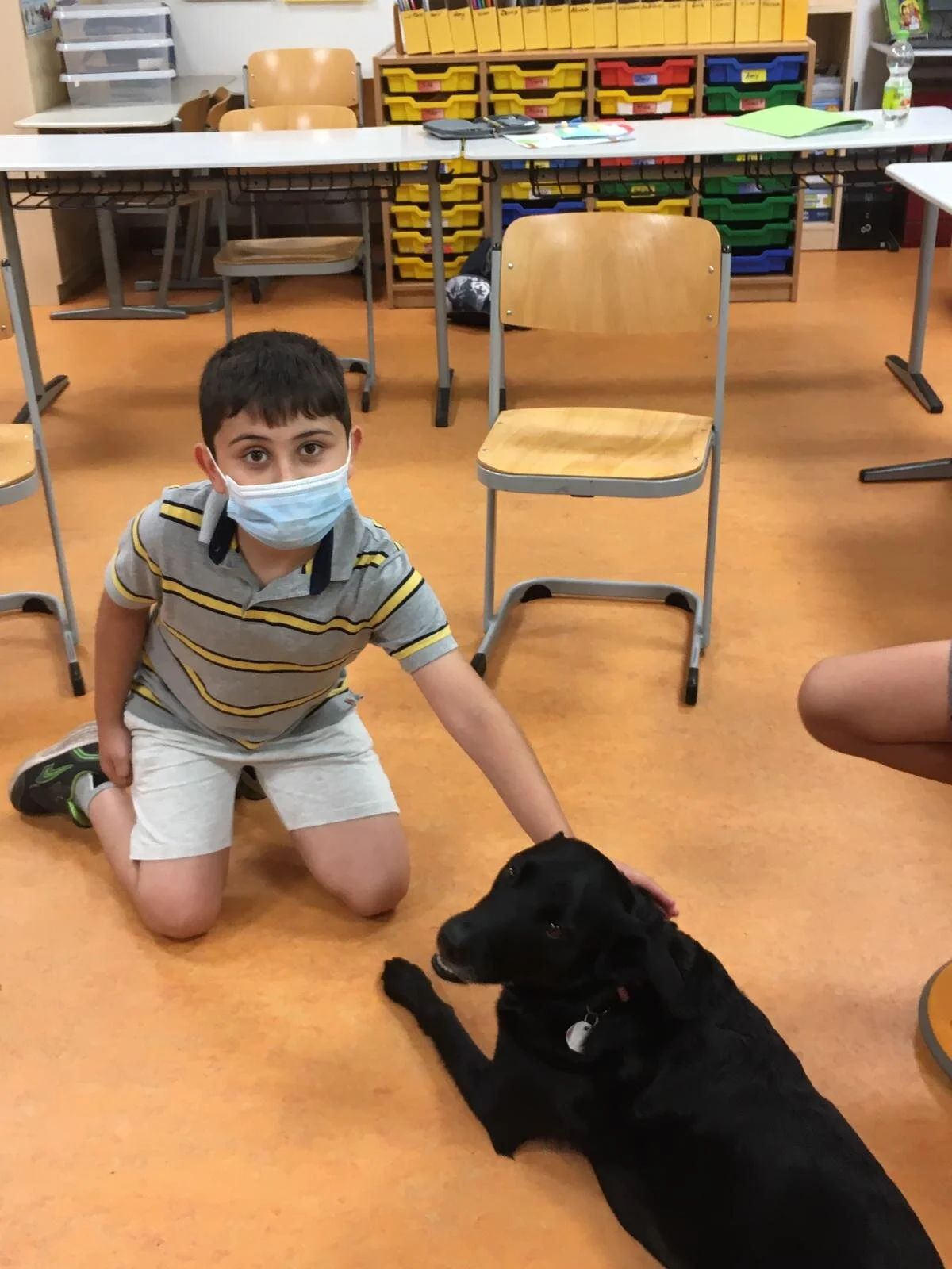 PHOTO-2020-08-19-22-37-28 1.jpg