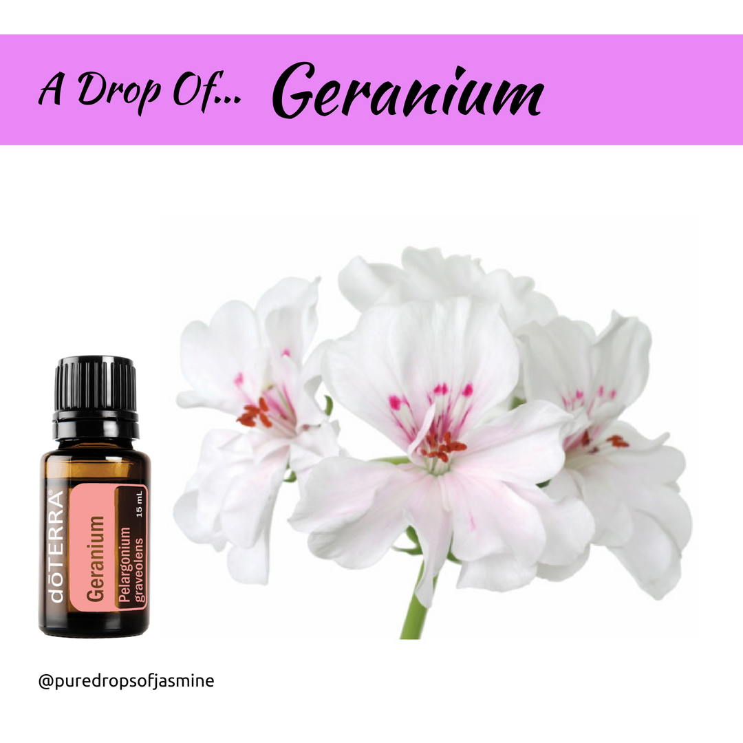 A Drop of... Geranium