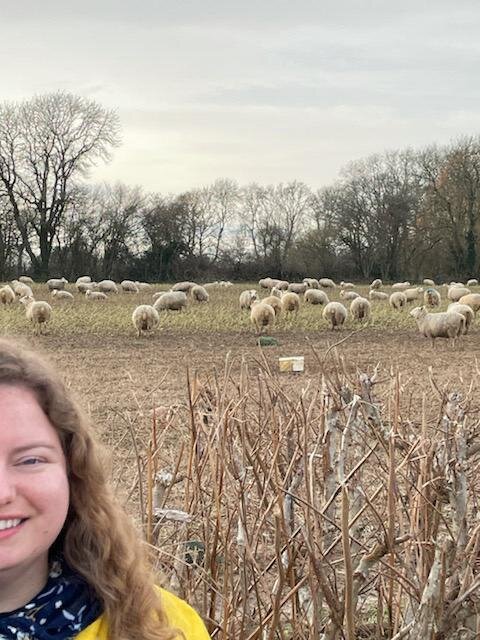 Marianne with Sheep.jpg