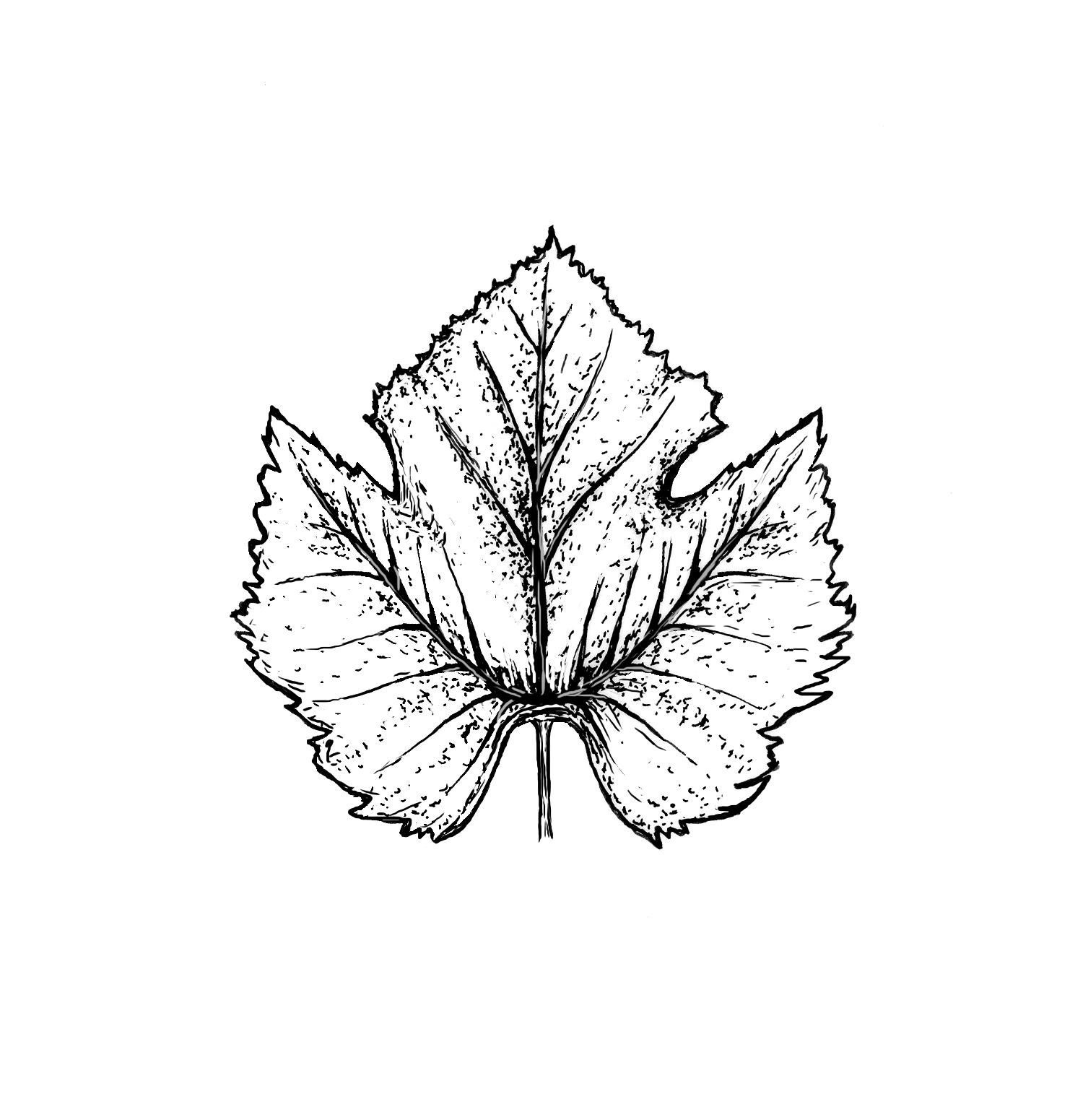 malbec-leaf.jpg