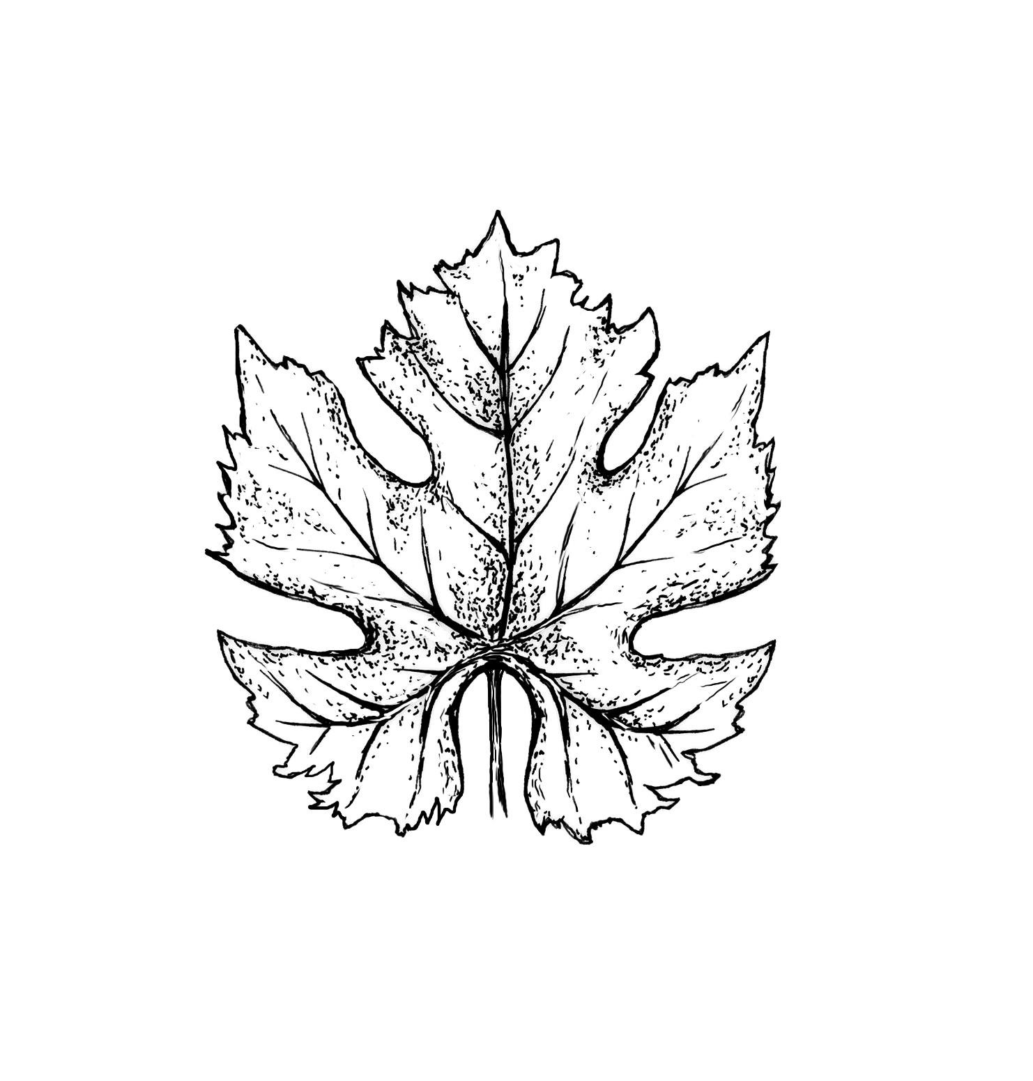 merlot-leaf.jpg