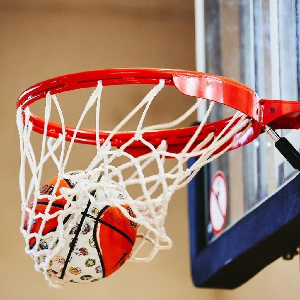 Basketball Hoop Systems: Sellers Offering Quality At Competitive Prices Win 50%-80% Margins