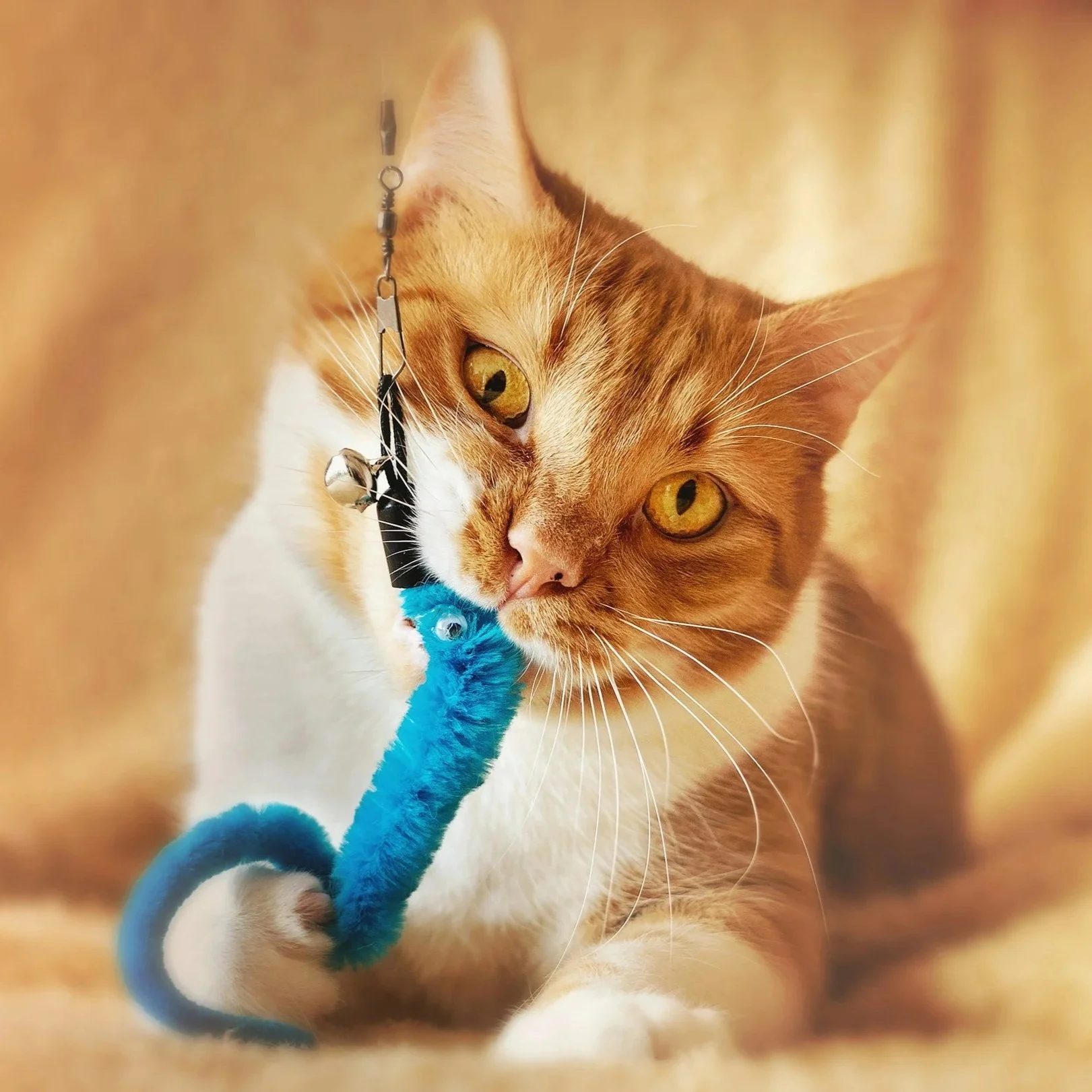 7 Cat Toy Product Improvements To Drive 60% Margins You Can Unlock Today
