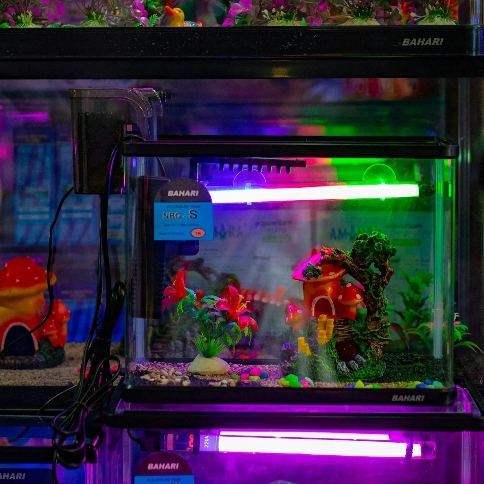 Fish Tanks: How Smart Tanks Are Stealing 215 % YoY Growth from Legacy Players