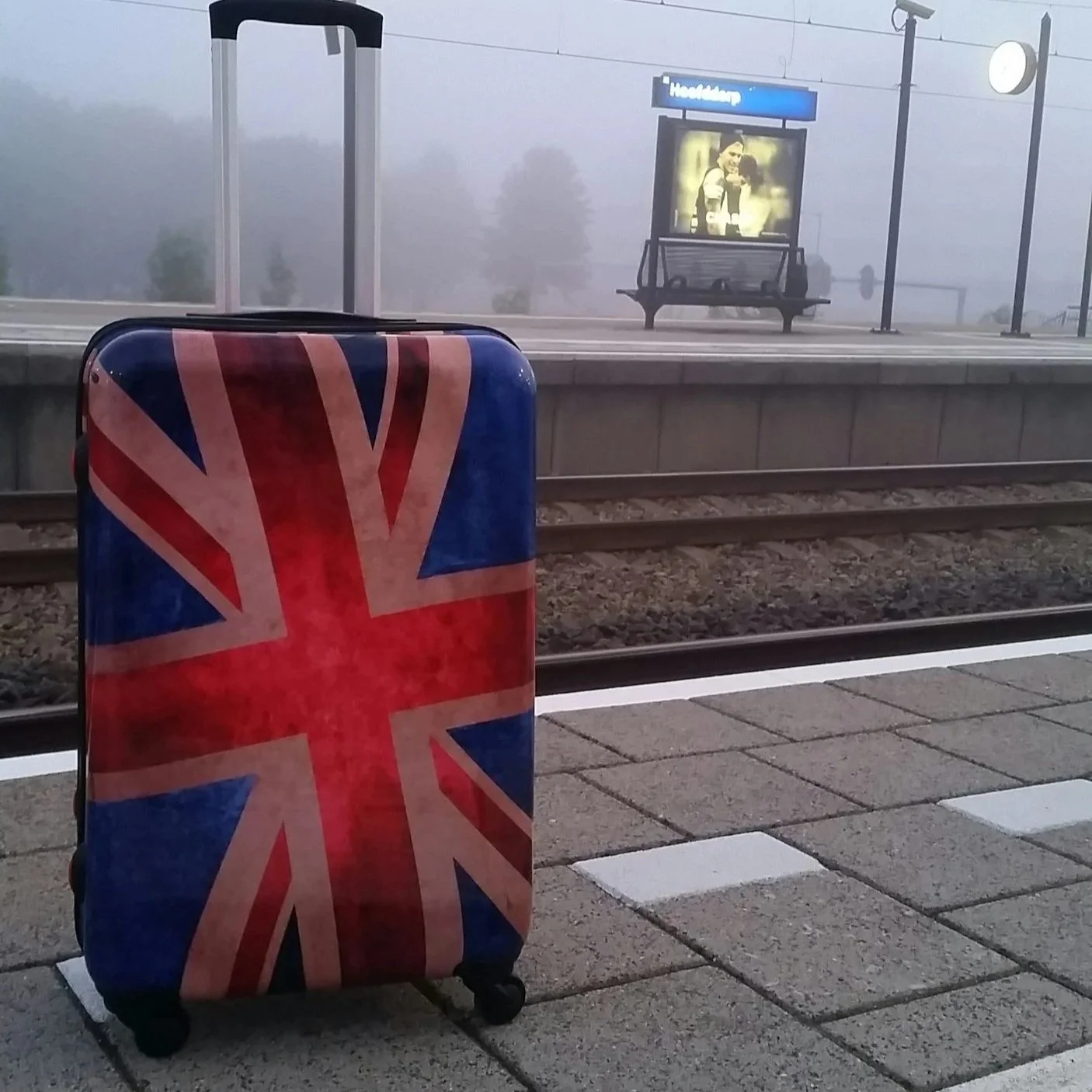 Luggage Covers: Brand-Specific Sizing, Wash-Resistant Patterns &amp; Zipper Access for TSA 