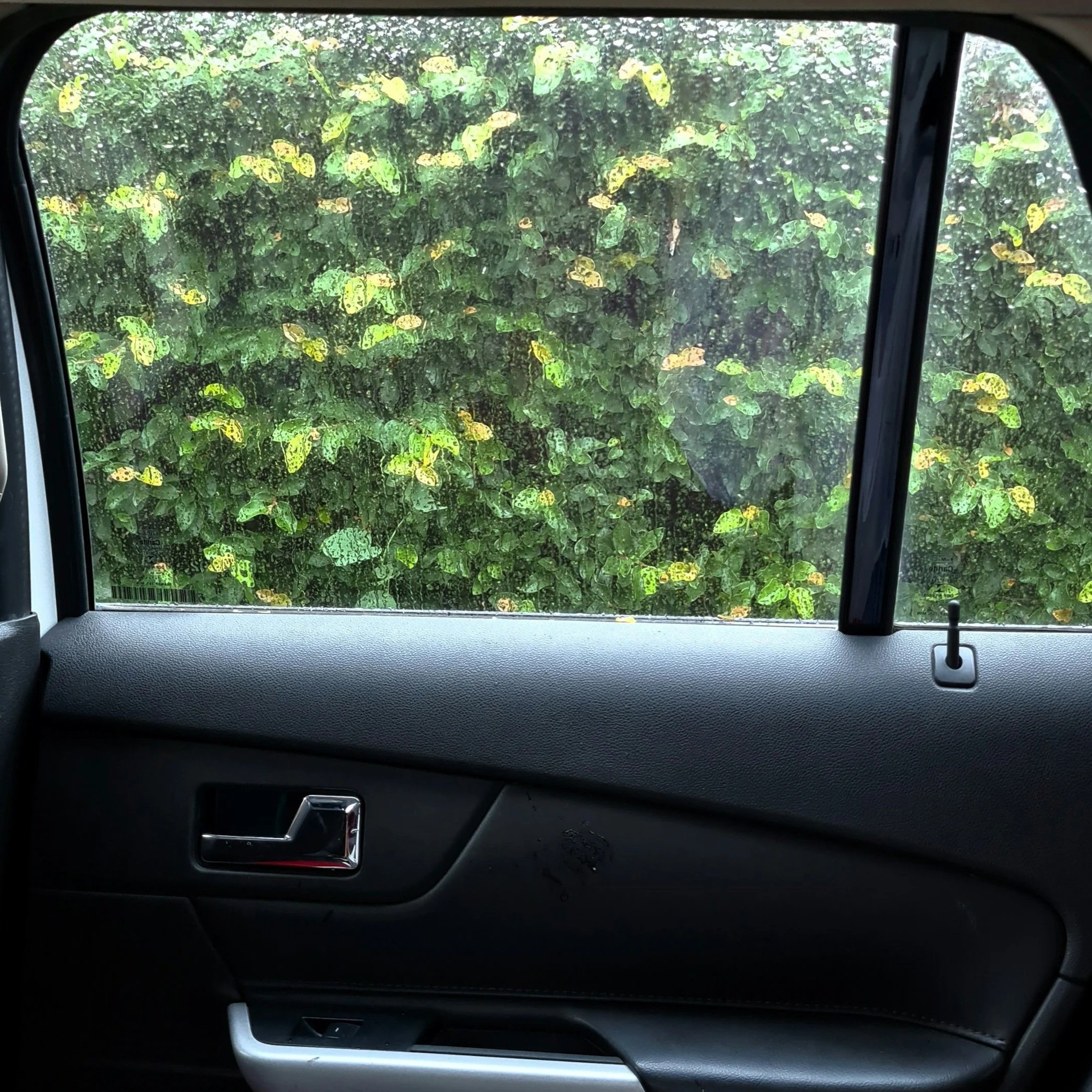 Magnetic Car Sunshades: Aluminum-Frame Grip, Real Blackout &amp; No-Gap Coverage Are the Upgrades Buyers Will Pay For