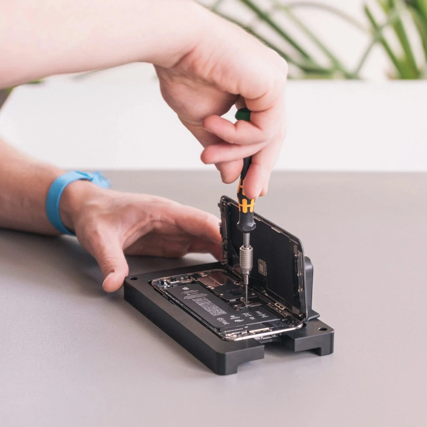 Apple Lost the Right to Repair Fight, and Phone Repair Kit Sellers Are the Ones Cashing In