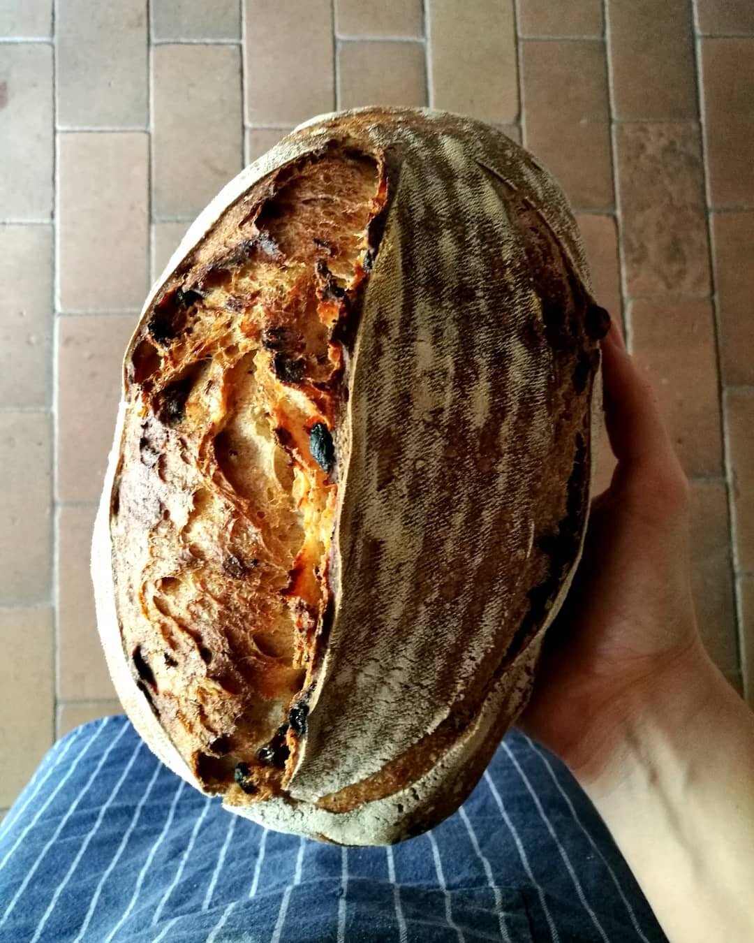 Our daily bread, this time with raisins, fennel seeds and coriander seeds. Divine with some butter and cheese. Have a lovely weekend!
.
.
.
.
#agriturismo #lemolesulfarfa #slowtourism #sourdoughschool #slowhandmadehome #bakingmydays #homebakedbread #