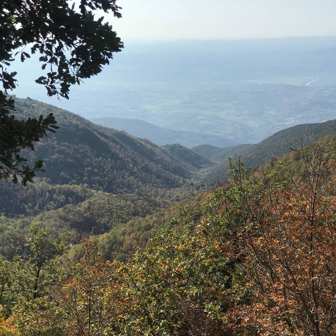 If you ever wonder if visiting us in November is the right time, have a look at these pictures. 🍃🍂🍁 They were made by Kat @spruytenko . She walked in the Monti Sabini a couple of weeks ago and the weather was stunning. She ran into cows, horses an