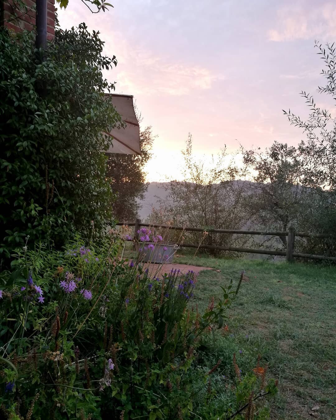 A beautiful sunrise yesterday with promising clouds. Looks like this week it might rain!
.
.
.
#lemolesulfarfa #agriturismo #slowtourism #slowlivingthroughtheseasons #gardenlife #natureandnourish #ofquietmoments