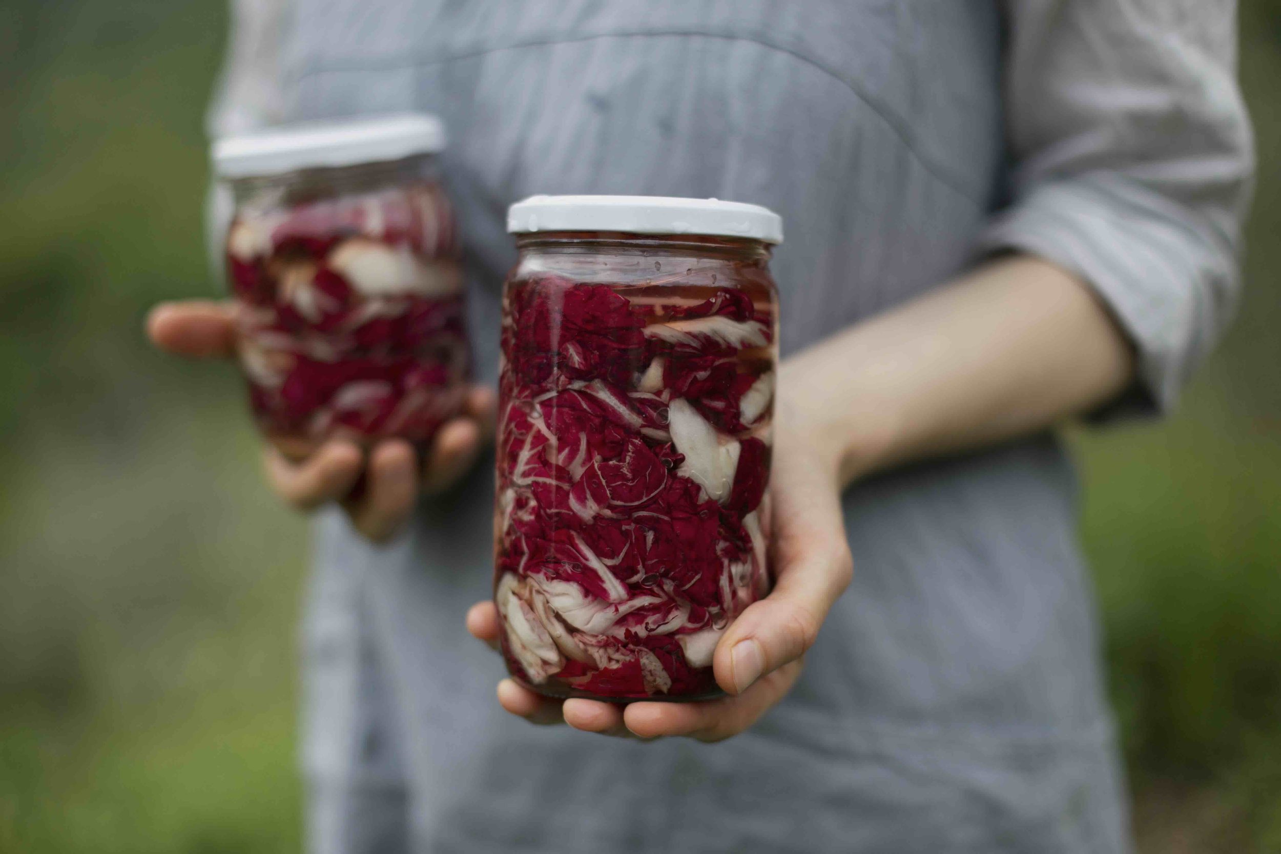 pickled radicchio.jpg