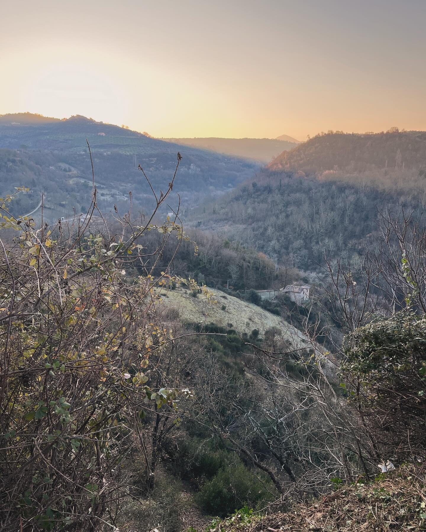 Cold mornings, sunny days.

Now that (part of) the brambles are cut back, there&rsquo;s that view again!

#lemolesulfarfa #agriturismo #slowtourism #goledelfarfa