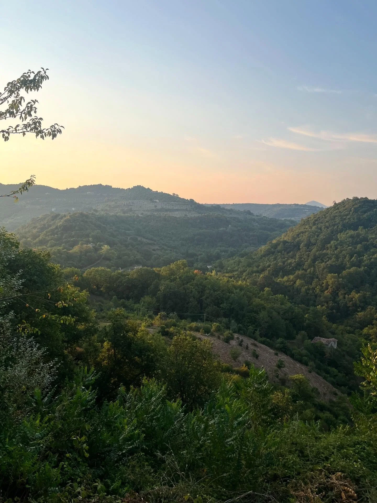 It&rsquo;s still Summer, but you can see the first hints of the change of season. Under the fig tree are some dry yellow brownish leaves, the pears and apples get bigger every day. A hot day brings a storm in the late afternoon. The top of certain tr