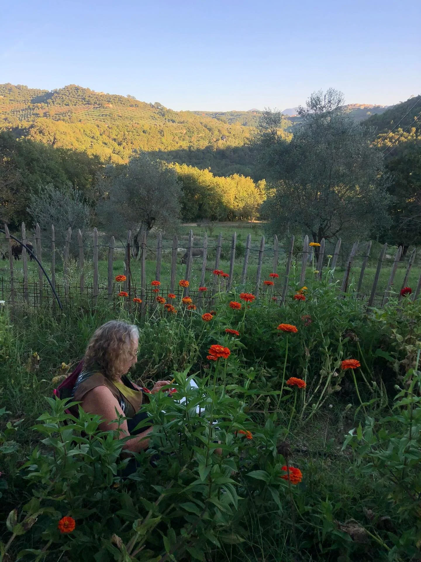 Trying to do justice to an incredible week. The Visual Wanderings art retreat with @helen.c.stark was everything we could have wished for: a diverse and harmonious group of people, stunning weather, a varied program, nourishing food, and an overall r