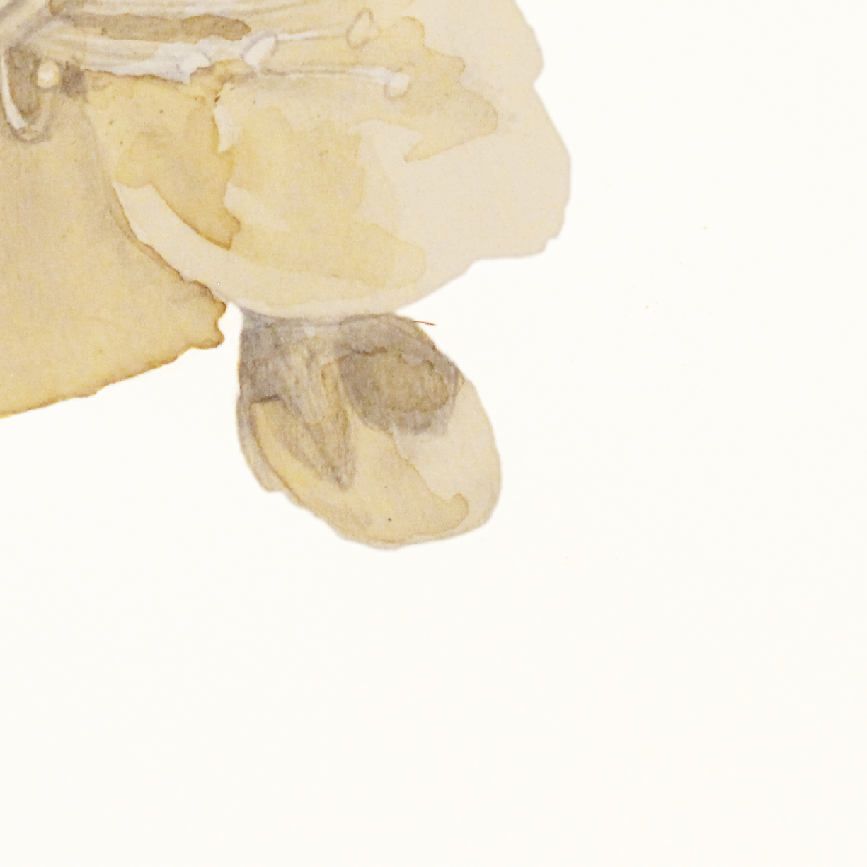 Plum-1-04.png