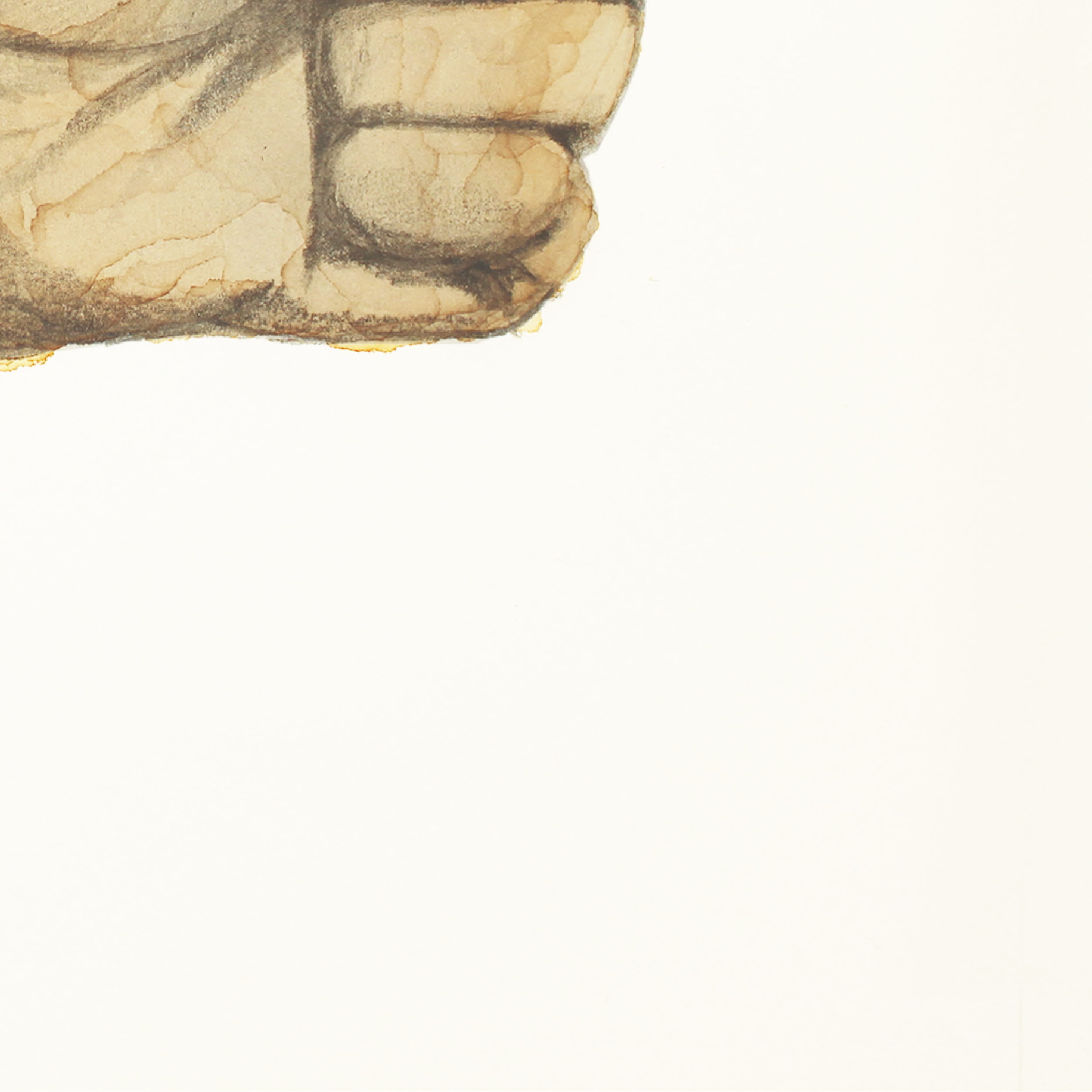 Hope 03-1-04.png