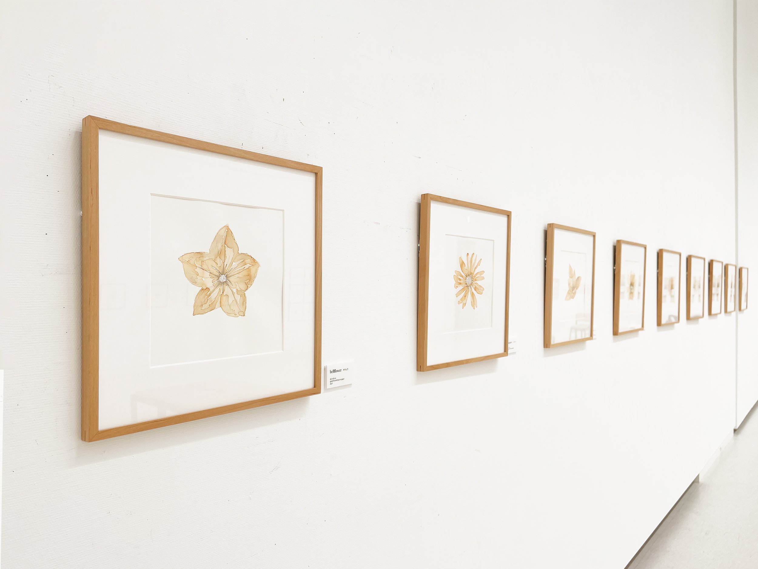 yuko n - life展   Autumn Flowers.jpg