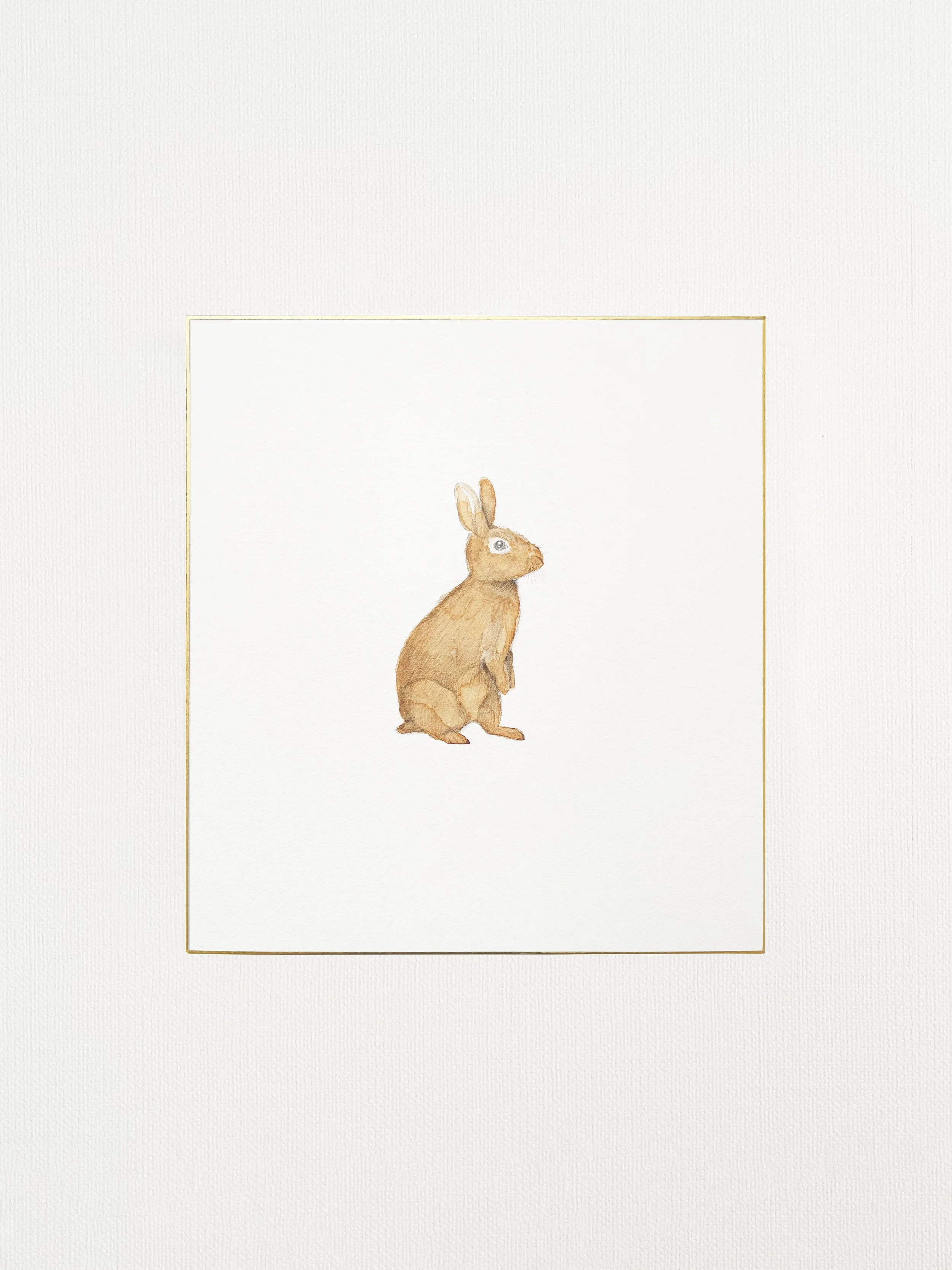 Exhibition Photos Vertical - Rabbit.jpg