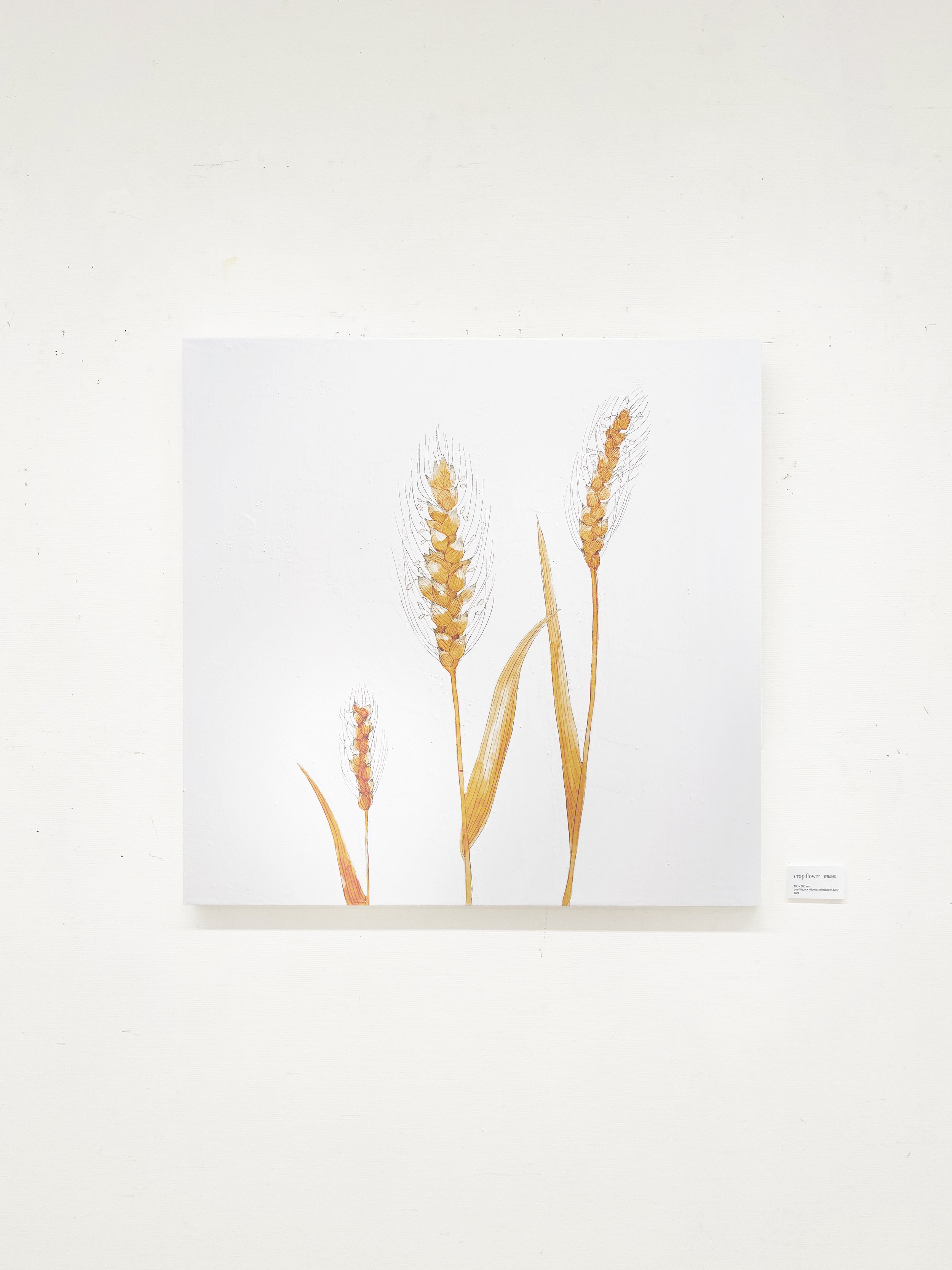 yuko n - civilization展_Crop Flowers.jpg