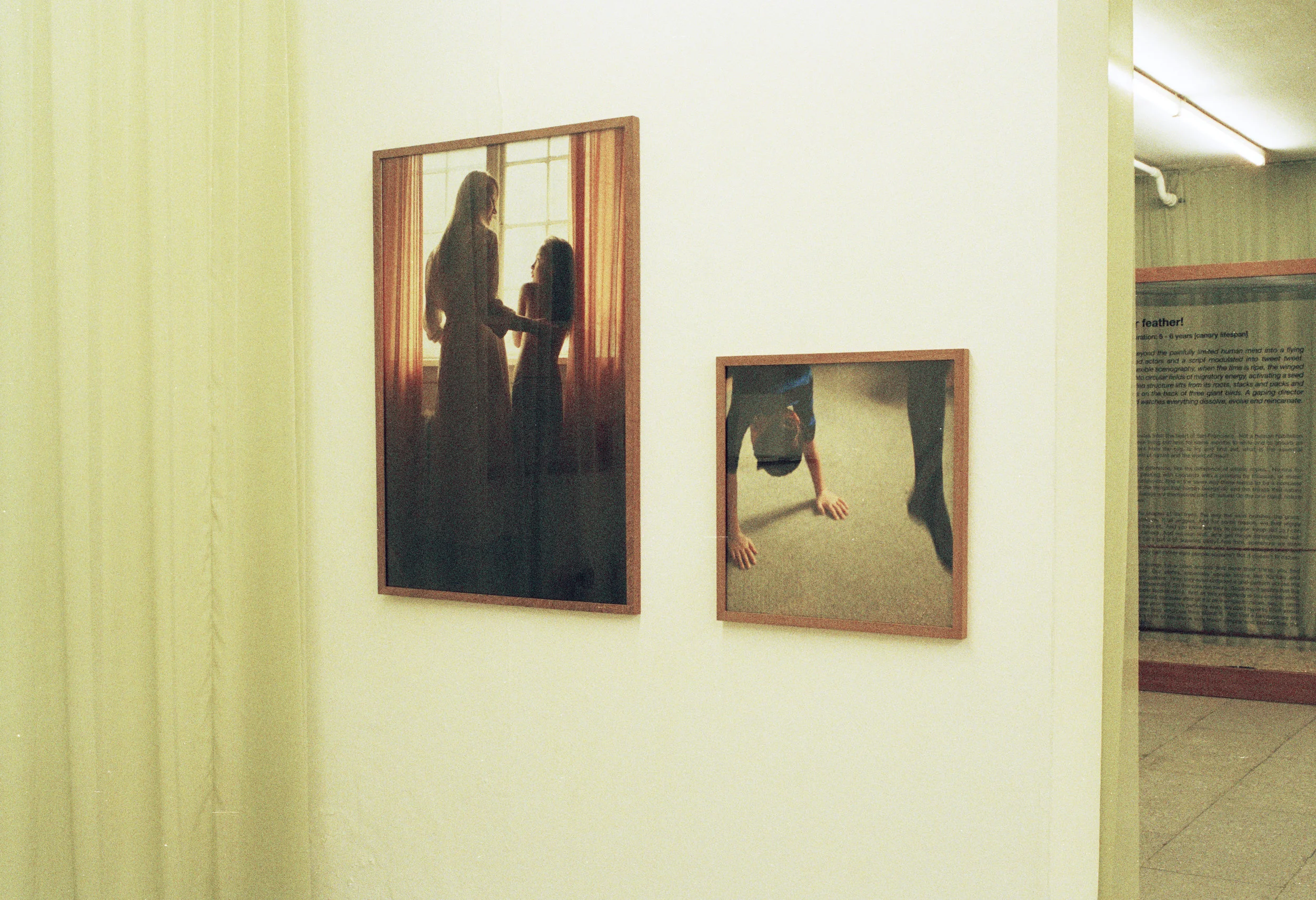 A Three Way..8.jpg