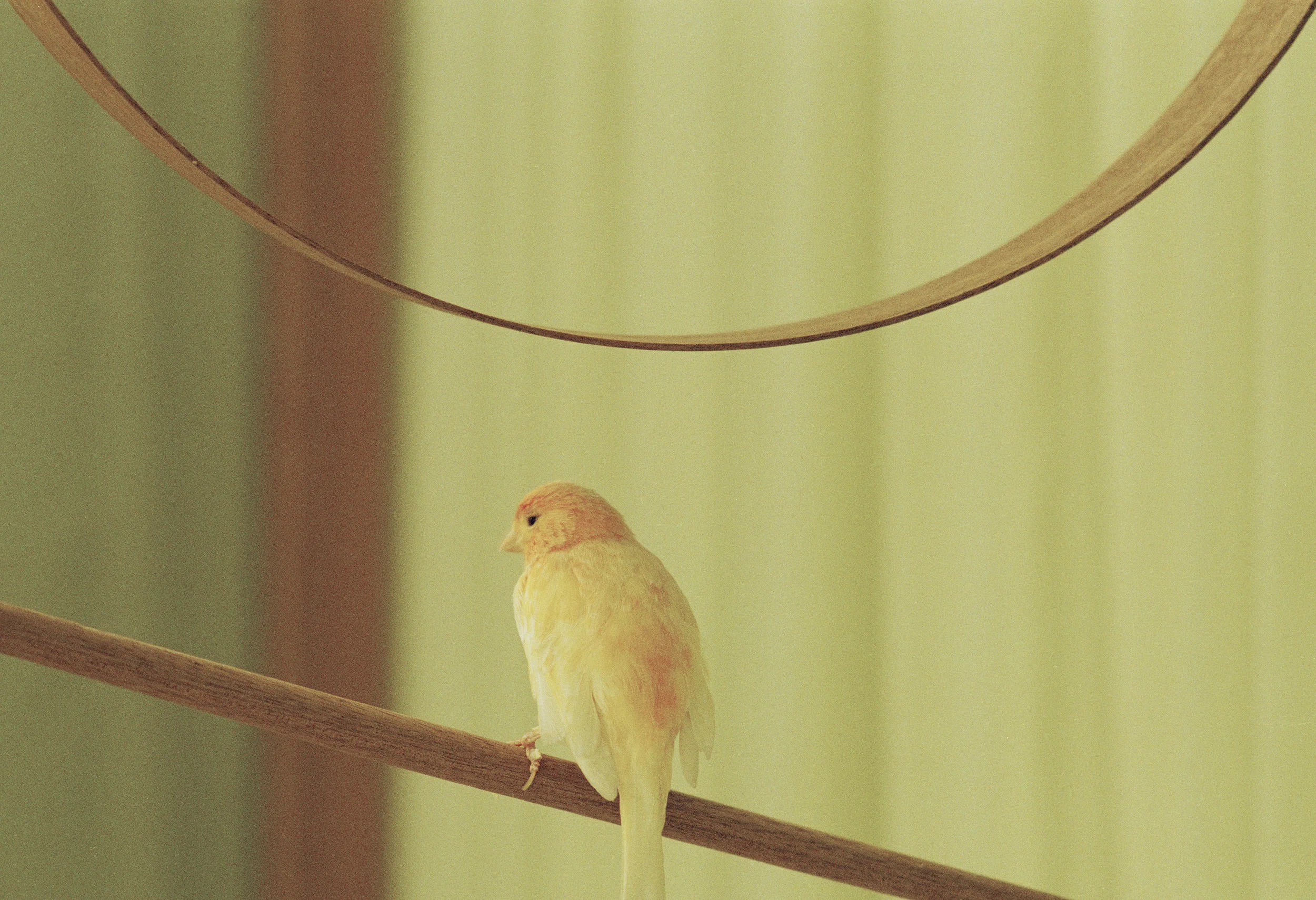 A Three Way..15.FRONTPAGE.jpg