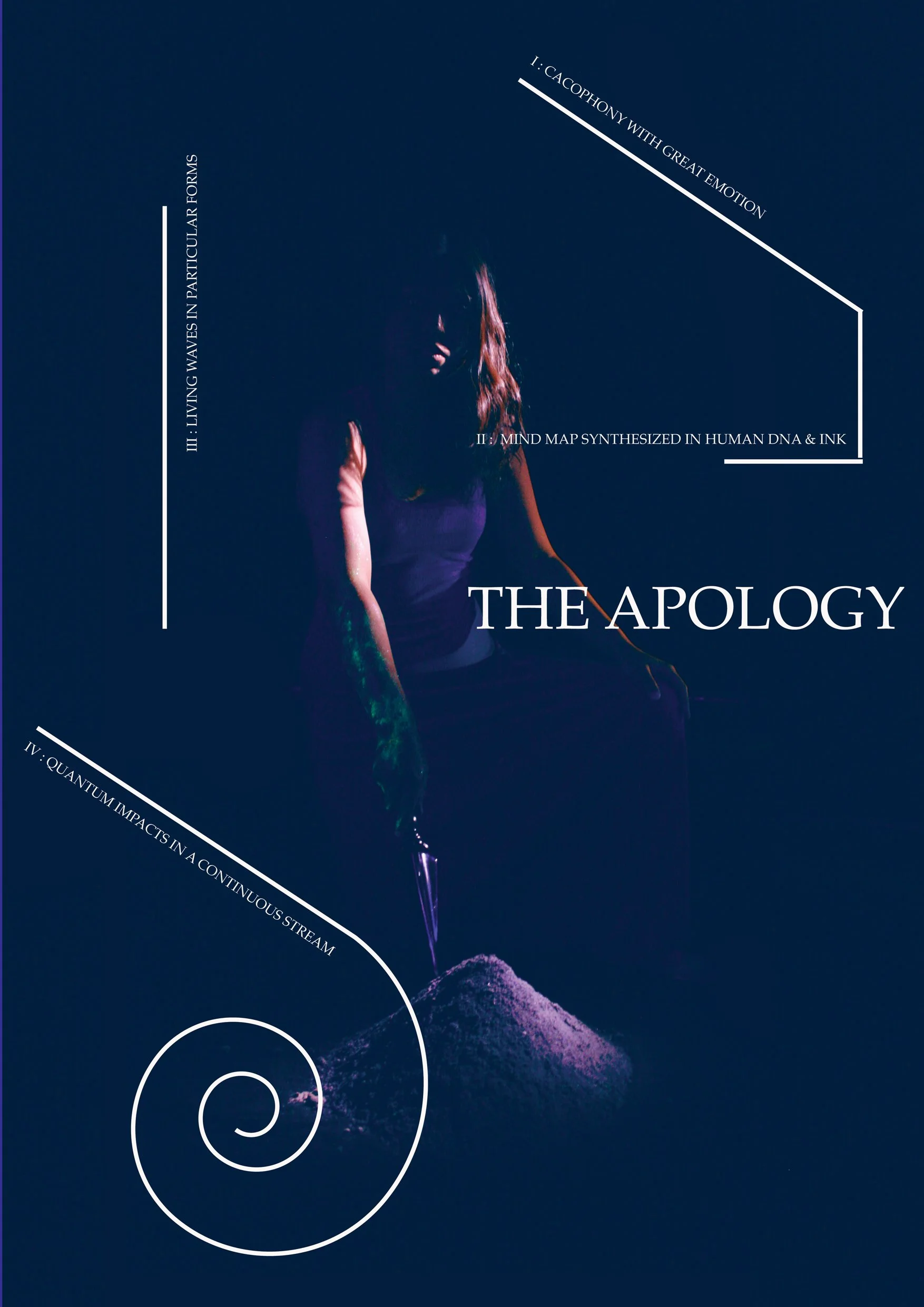 The Apology poster and installation map
