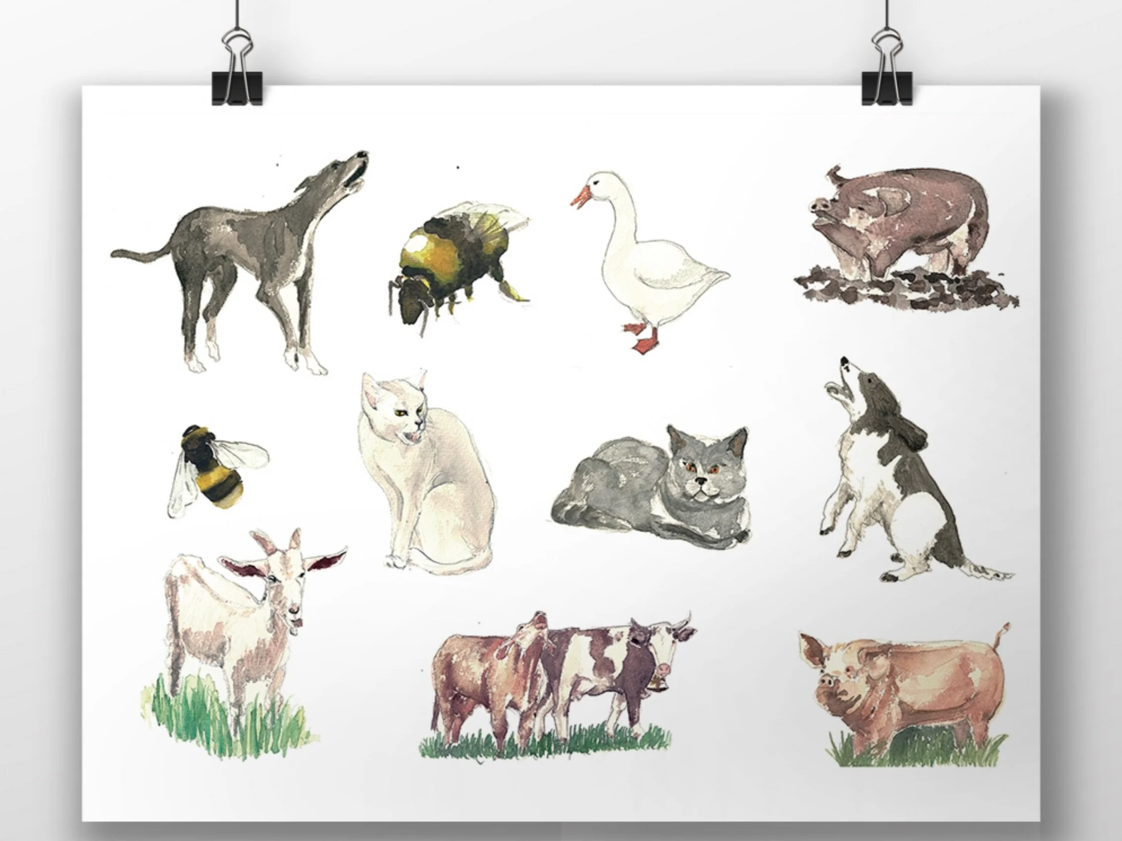 Tiere.jpg