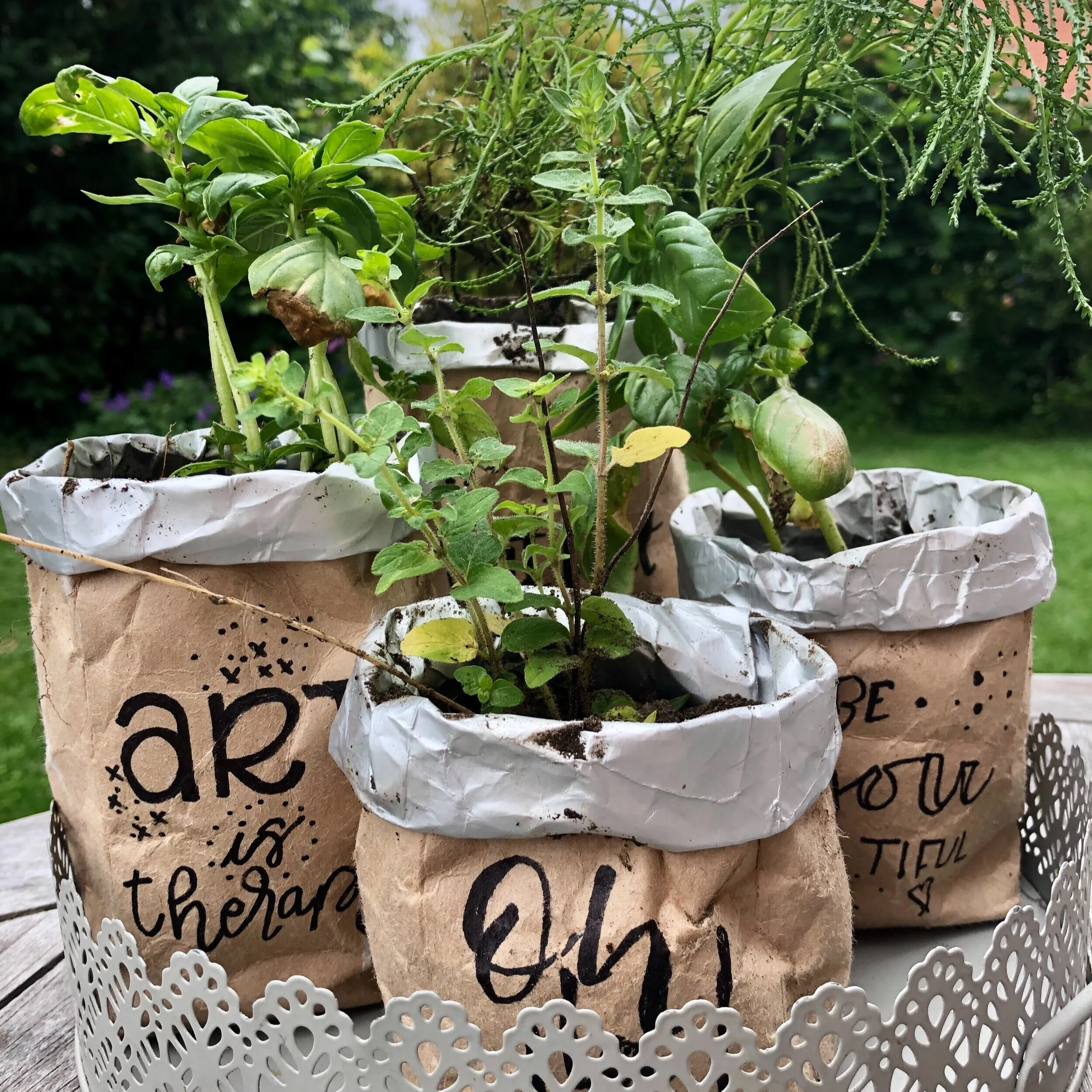 Küchenkräuter finden in alten Milchtüten einen dekorativen Platz