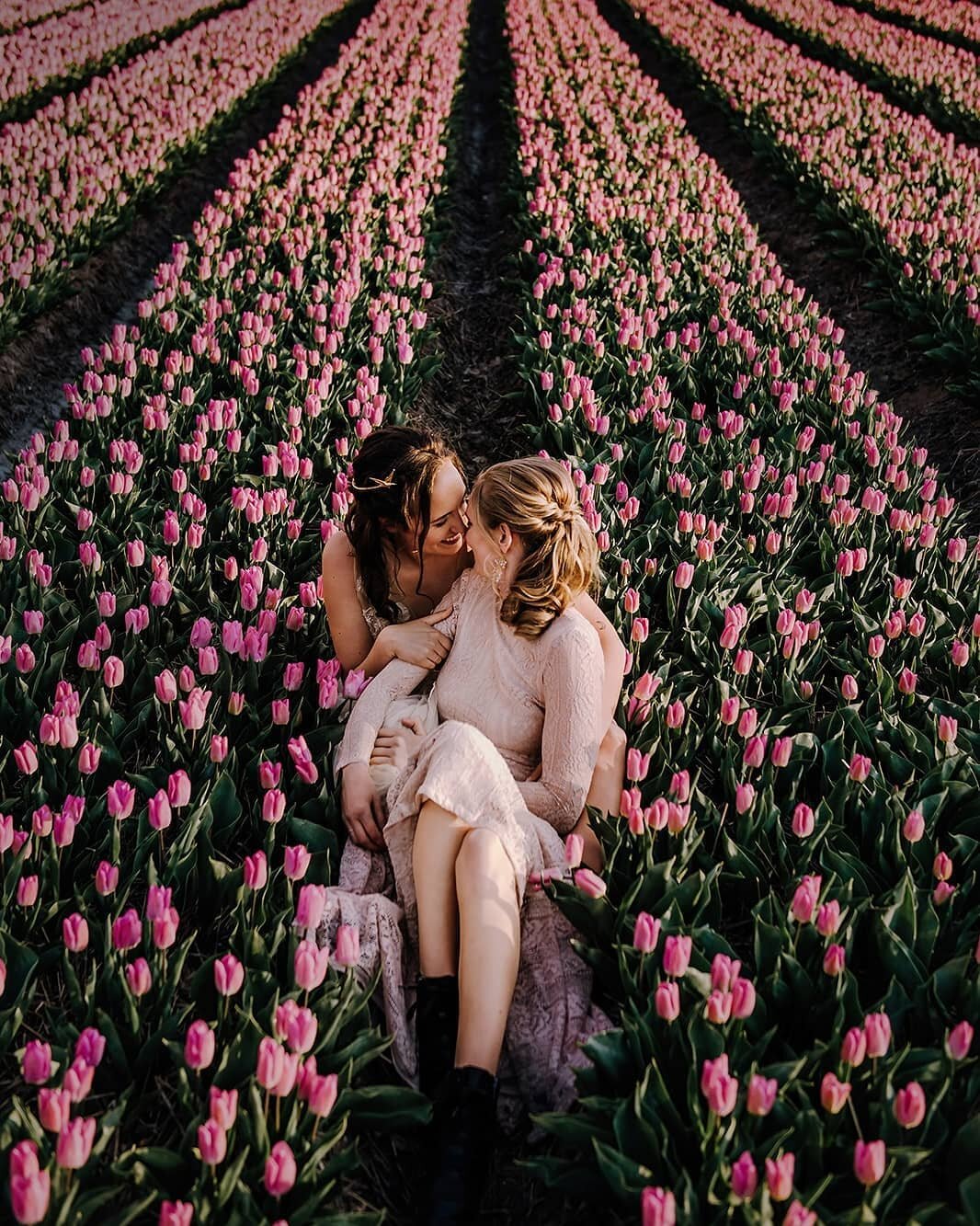 🇳🇱 The Netherlands is very flat but still has a lot of beautiful scenery! 🤩

To give you some ideas, here are 5 locations to elope at in Holland:

1. Tulipfields 

2. Old towns and canals 

3. Beautiful forests 

4. Historic windmills 

5. Beaches