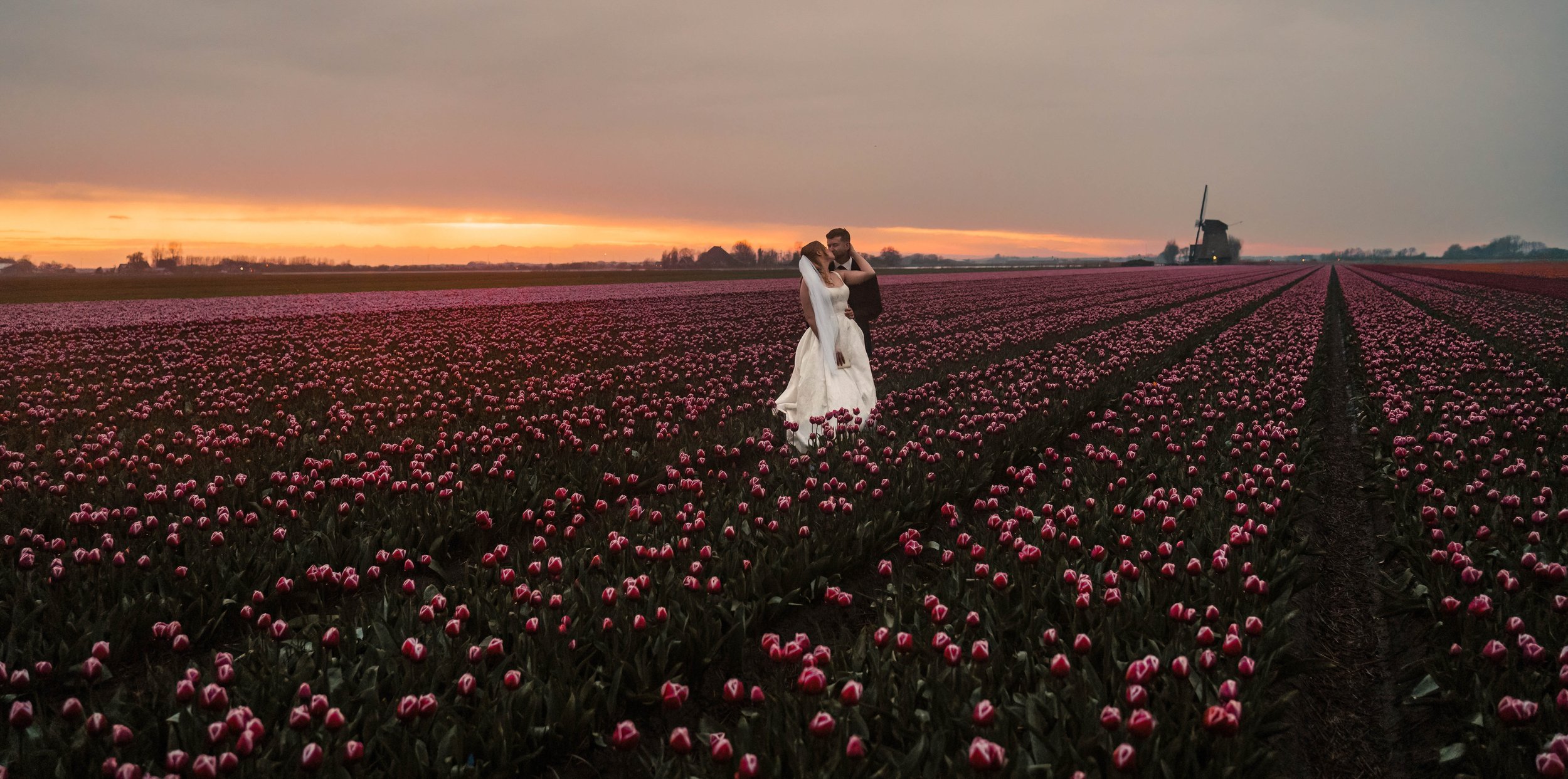 Holland-Elopement-Tulips-1-2.jpg