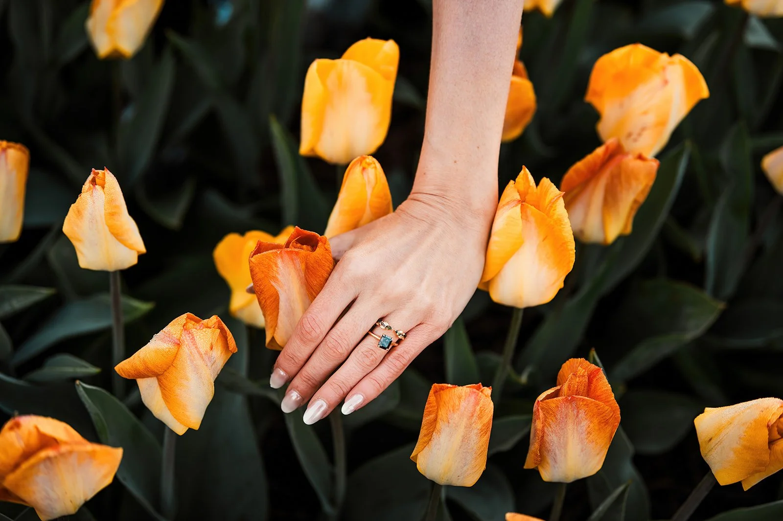 E+C-Tulip-Fields-Holland-72_websize.jpg