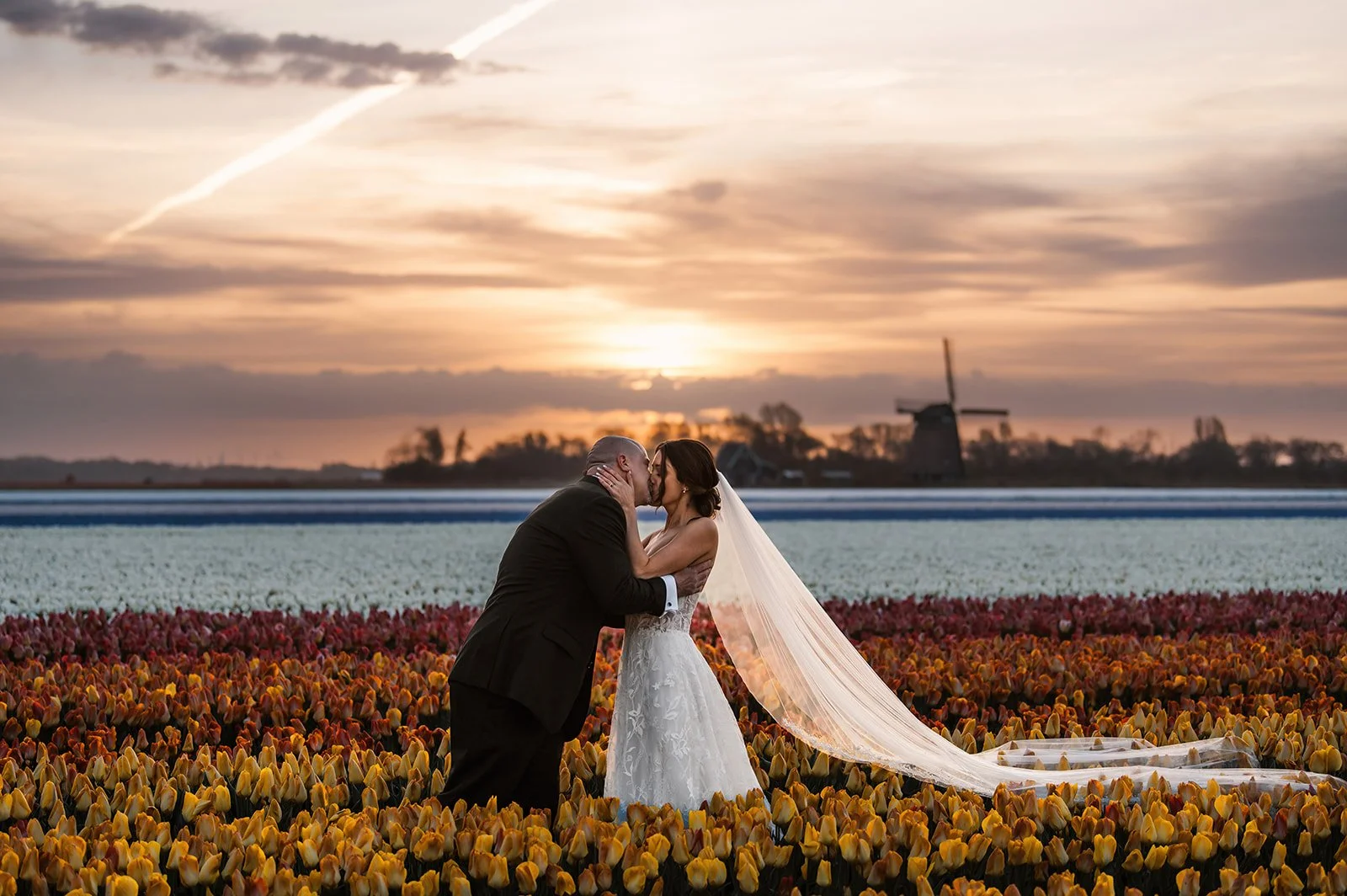 E+C-Tulip-Fields-Holland-45_websize.jpg